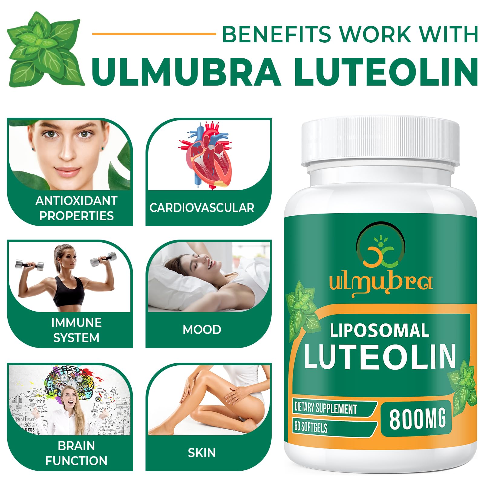 Ulmubra 800MG Liposomal Luteolin Supplement - Maximum Absorption, Premium Antioxidant Supplement for Brain & Overall Well-Being, 120 Softgels - 60-Day Supply