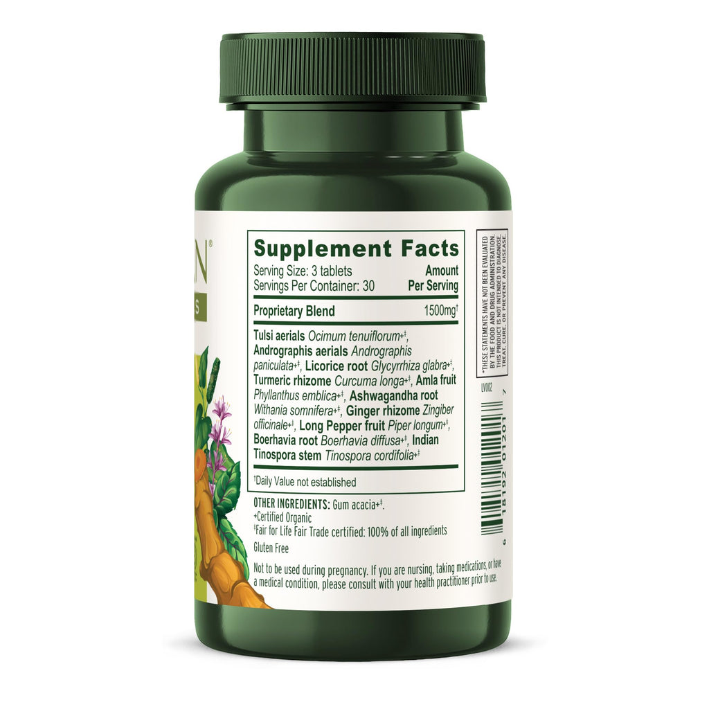 Banyan Botanicals Organic Immune Strong – Systemic Defense & Cellular Fortification – with Turmeric, Tulsi & Ashwagandha for Year-Round Immune Support – 90 Tablets – USDA Organic