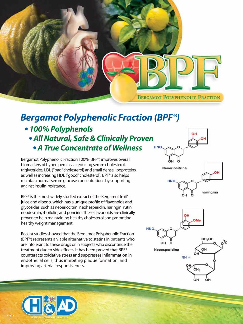 Organic Citrus Bergamot Extract - 120 Capsules - High Strength 38% Bergamot Polyphenols - 500mg - Clinically Studied BPF® - UK Made Supplement - Zero Additives - GMP Standards - Vegan
