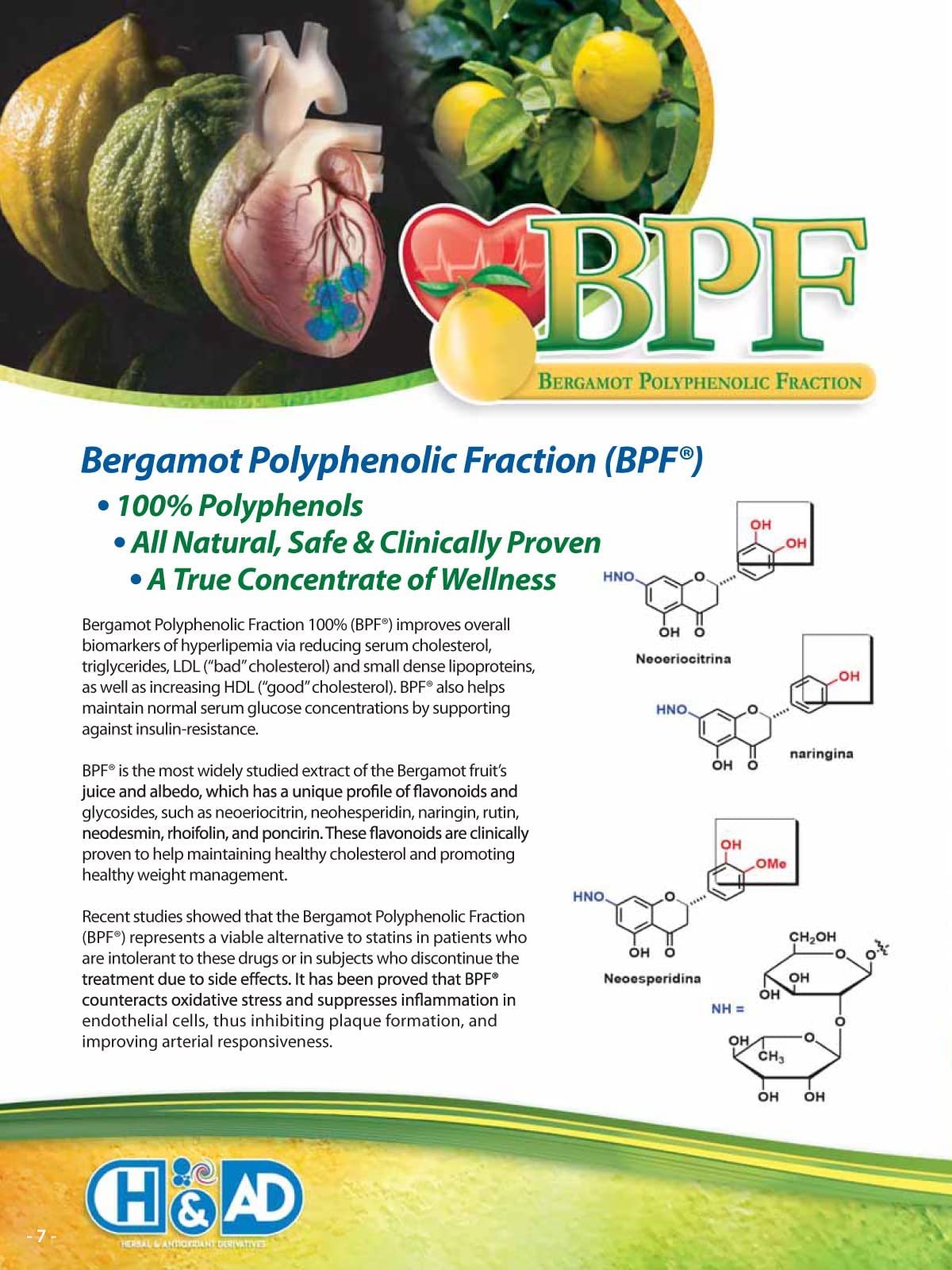 Organic Citrus Bergamot Extract - 120 Capsules - High Strength 38% Bergamot Polyphenols - 500mg - Clinically Studied BPF® - UK Made Supplement - Zero Additives - GMP Standards - Vegan