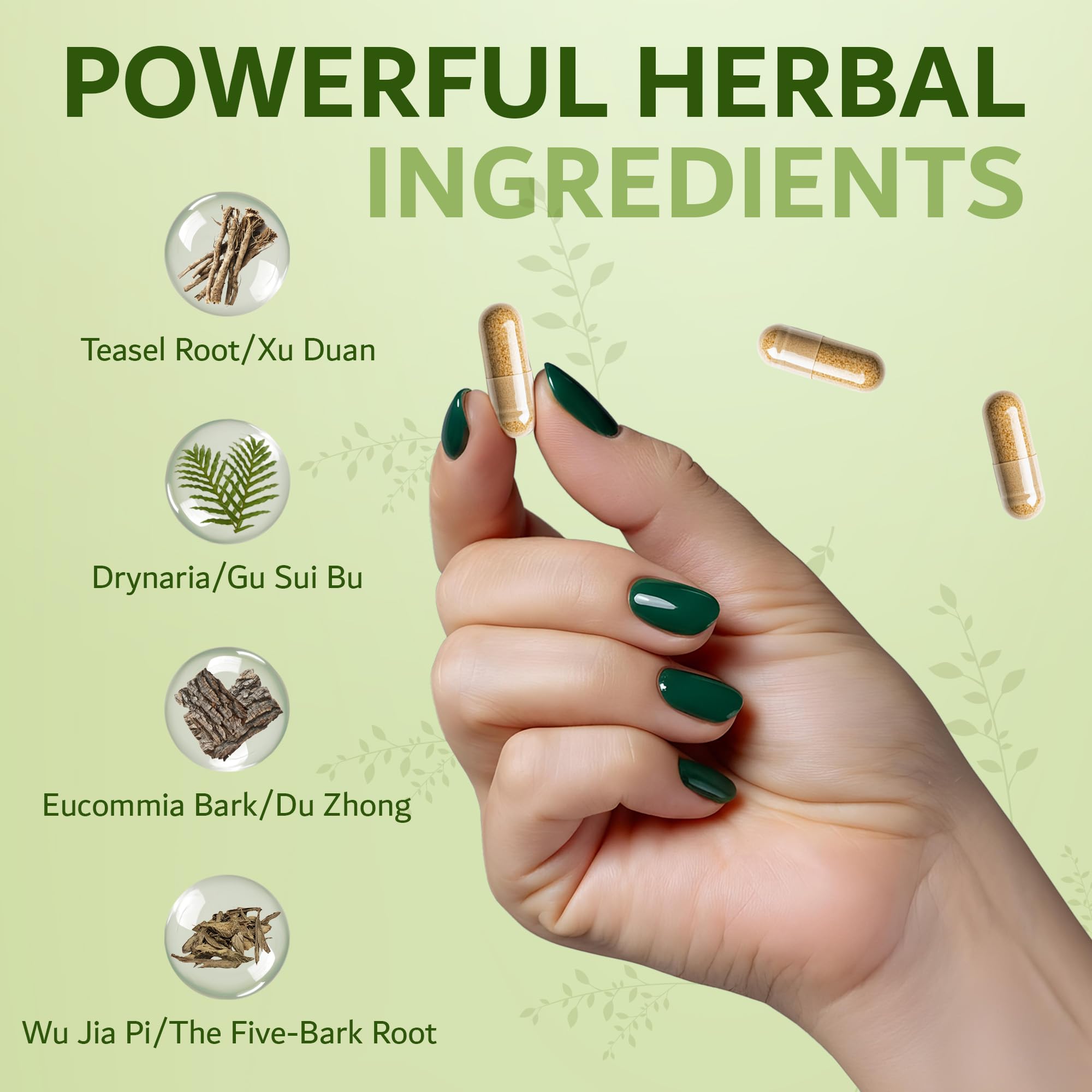 Dimmak Herbs Bone Mending Pills- Rapid Fracture & Broken Bone Healing Supplement- Advanced TCM Formula with Drynaria- Stress Fracture & Osteoblast Support- Organic- 500mg 100 Capsules