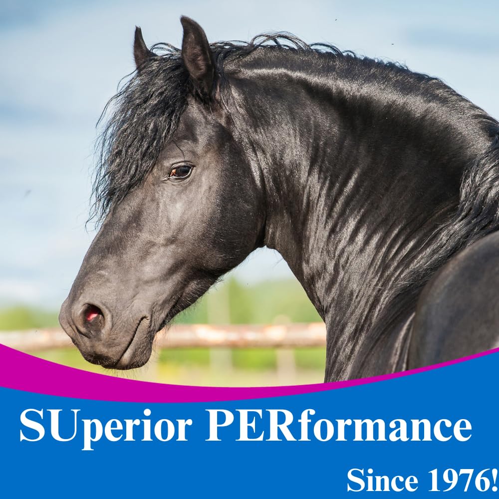 SU-PER Uva Ursi Supplement for Horses - Supports Proper and Active Kidney Function & Healthy Urinary Tract - 4 Pound
