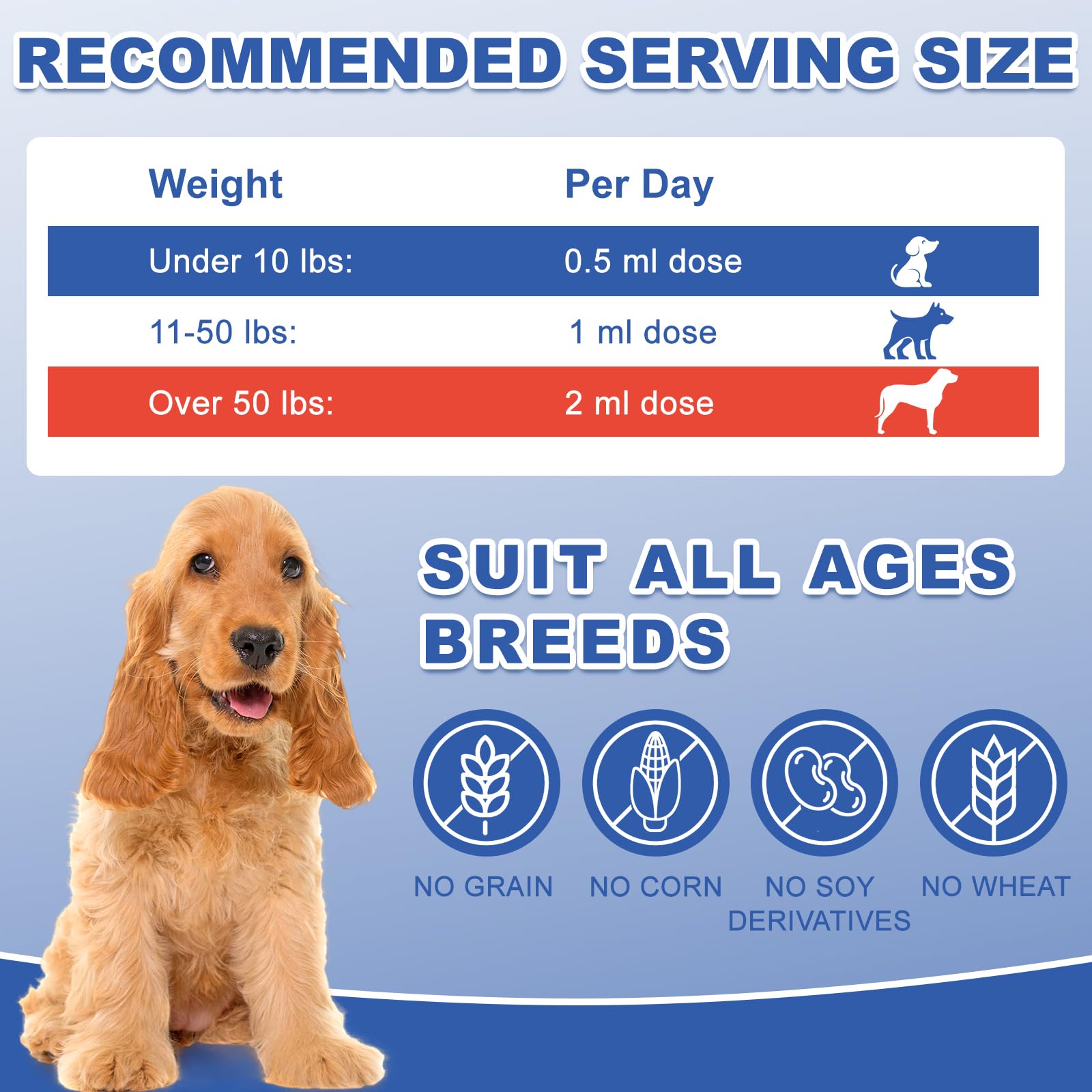 Netrca Appetite Stimulant for Dogs - Vitamin B12 (Methylcobalamin) Liquid Supplement - Boosts Appetite, Energy, and Mood - 60 ml