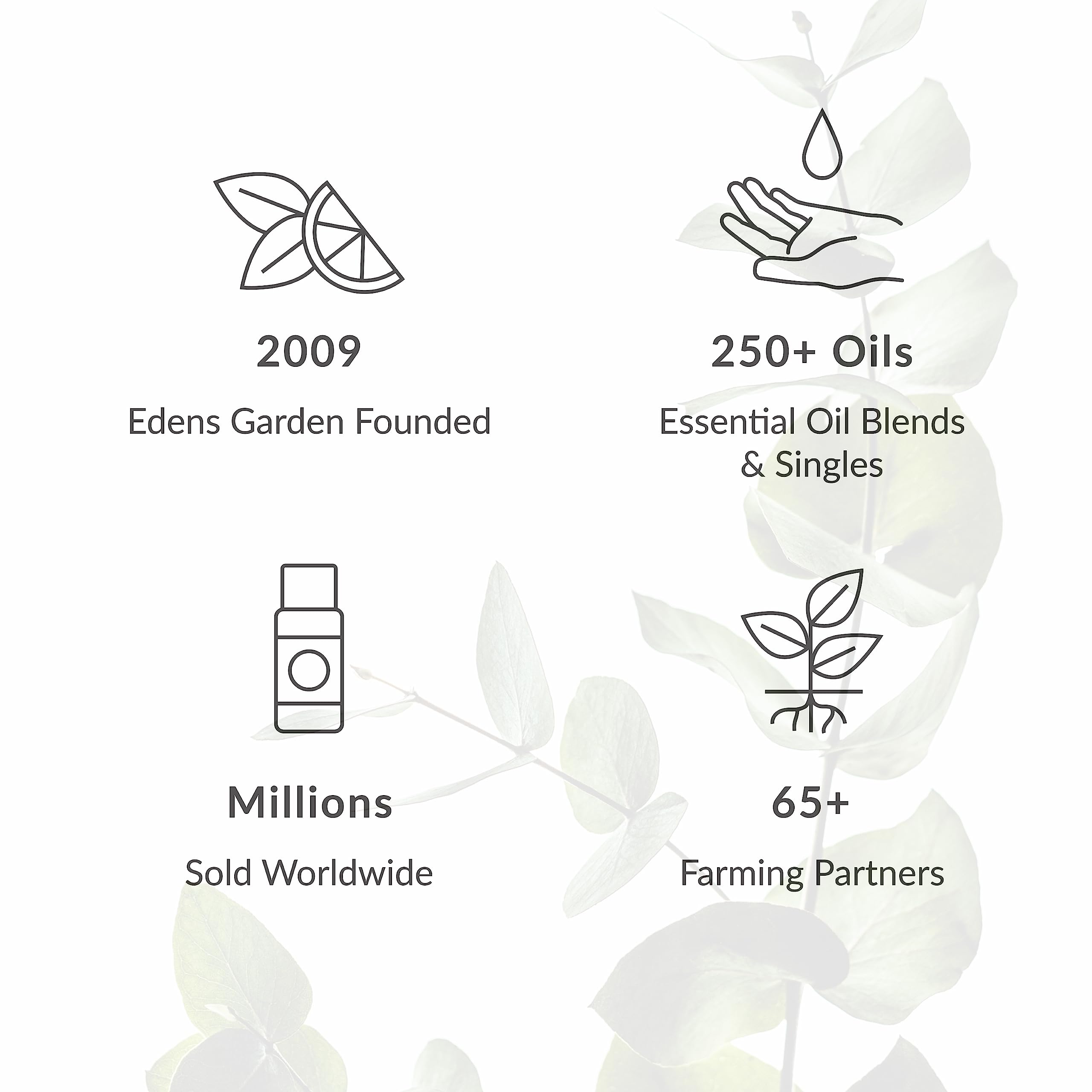 Edens Garden Jojoba Carrier Oil- 100% Pure Premium Cold Pressed & Hexane Free, Natural Deep Moisturizer For Face, Skin, Hair & Nails- Great For Diluting Essential Oils & Soap Making 118 ml (4 fl oz)