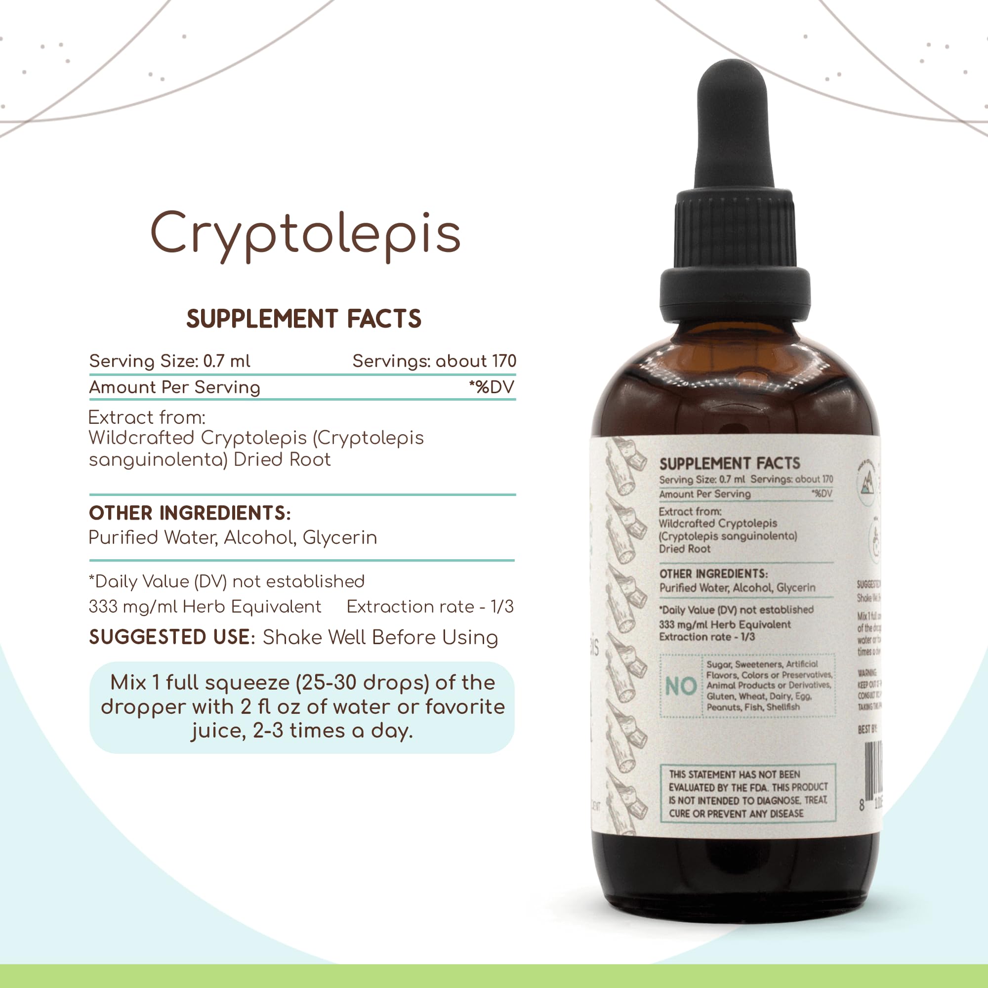 HerbEra Cryptolepis Alcohol Herbal Extract Tincture, Super-Concentrated Wildcrafted Cryptolepis (Cryptolepis Sanguinolenta) Dried Root (4 Fl Oz)