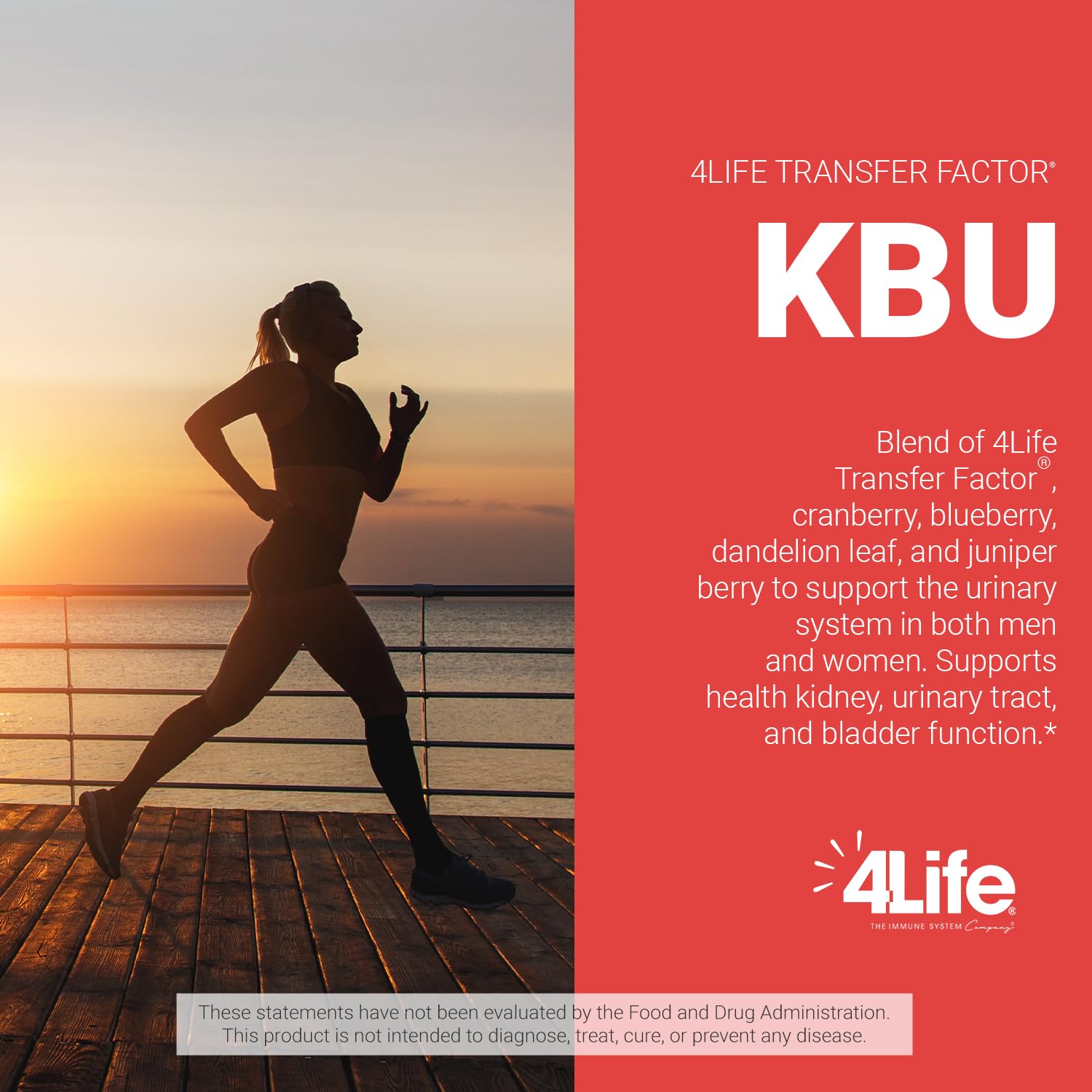 4Life Targeted Transfer Factor KBU Urinary Support Supplement, 120 Capsules