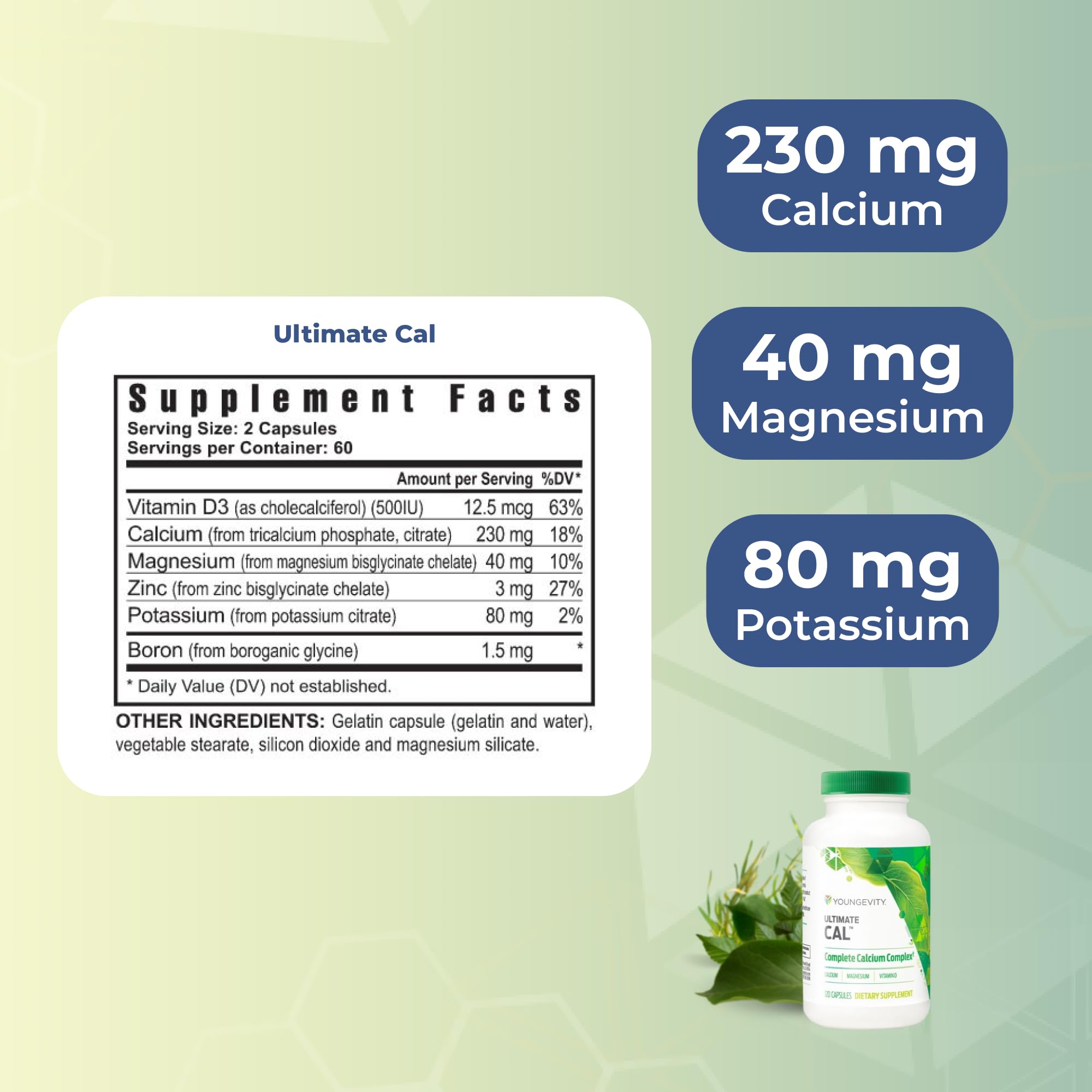 Youngevity Ultimate Cal - Calcium Magnesium Bone Health Supplement with D-3, Zinc, Potassium, Boron - Highly Absorbable - Immune and Bone, Ligament Support - 120 Capsules (Pack of 1)