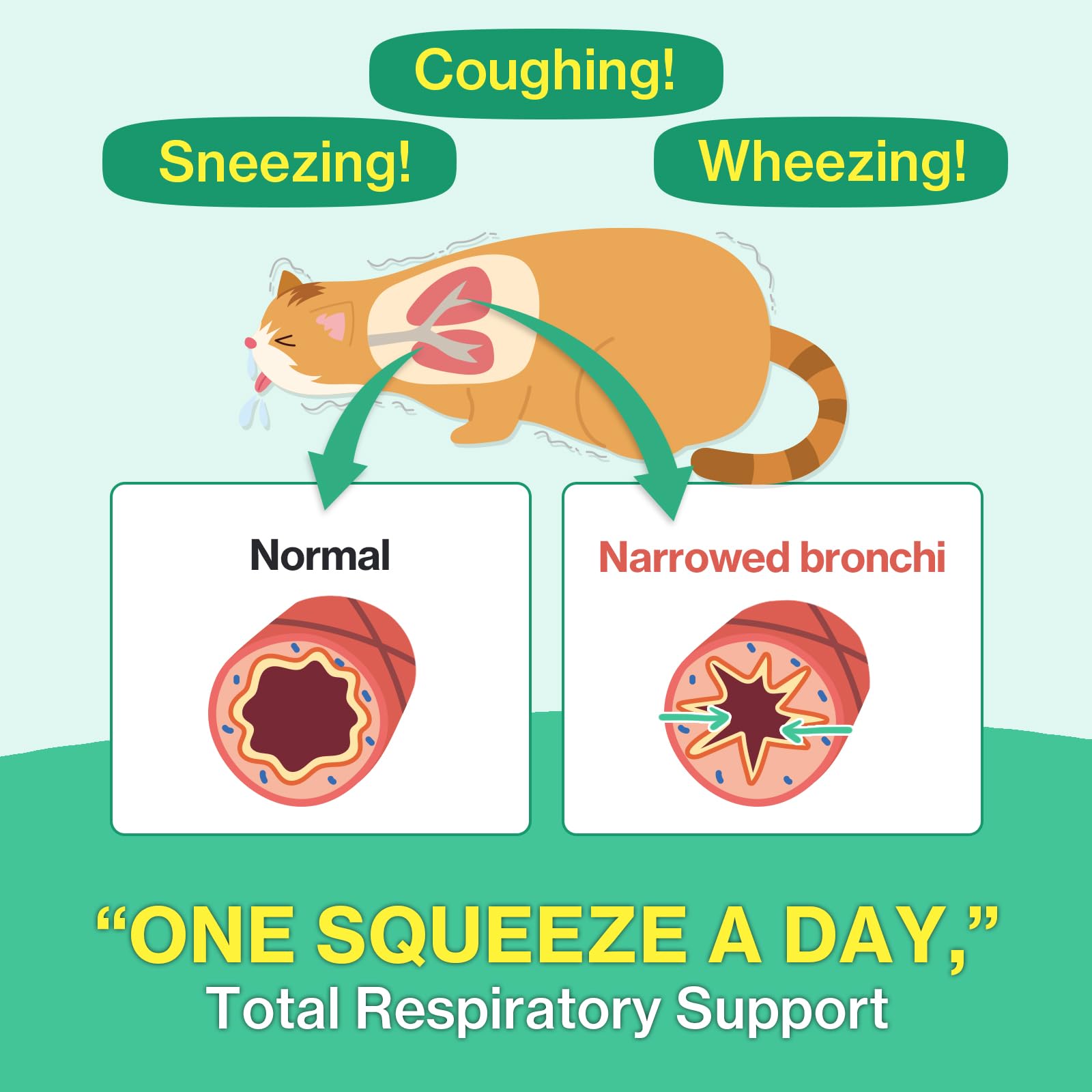 Doctor By Cat Breath Bronchial Supplements Cat Sneezing Treatment Asthma Cold Cough Nose Relief Respiratory&Immune Support with TF-343-30 lickable Formula Individually Packaged, Chicken (1 Pack)