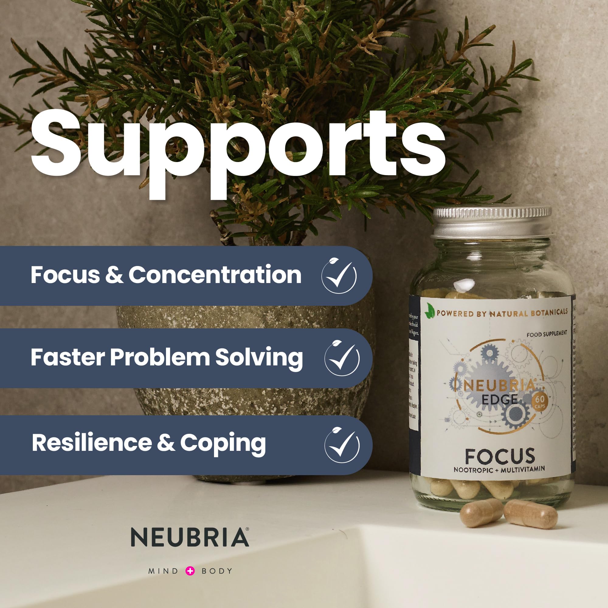Neubria Edge Focus Formula Nootropic and Multivitamin, Helps to Improve Concentration and Focus with 22 Essential Vitamins and Minerals - 60 Capsules (one month's Supply)