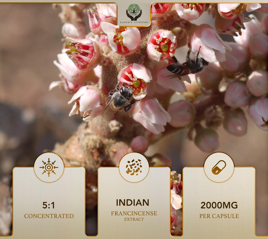 EN Boswellia Serrata, 120 Capsules, 2000mg 5:1 Extract, High Strength