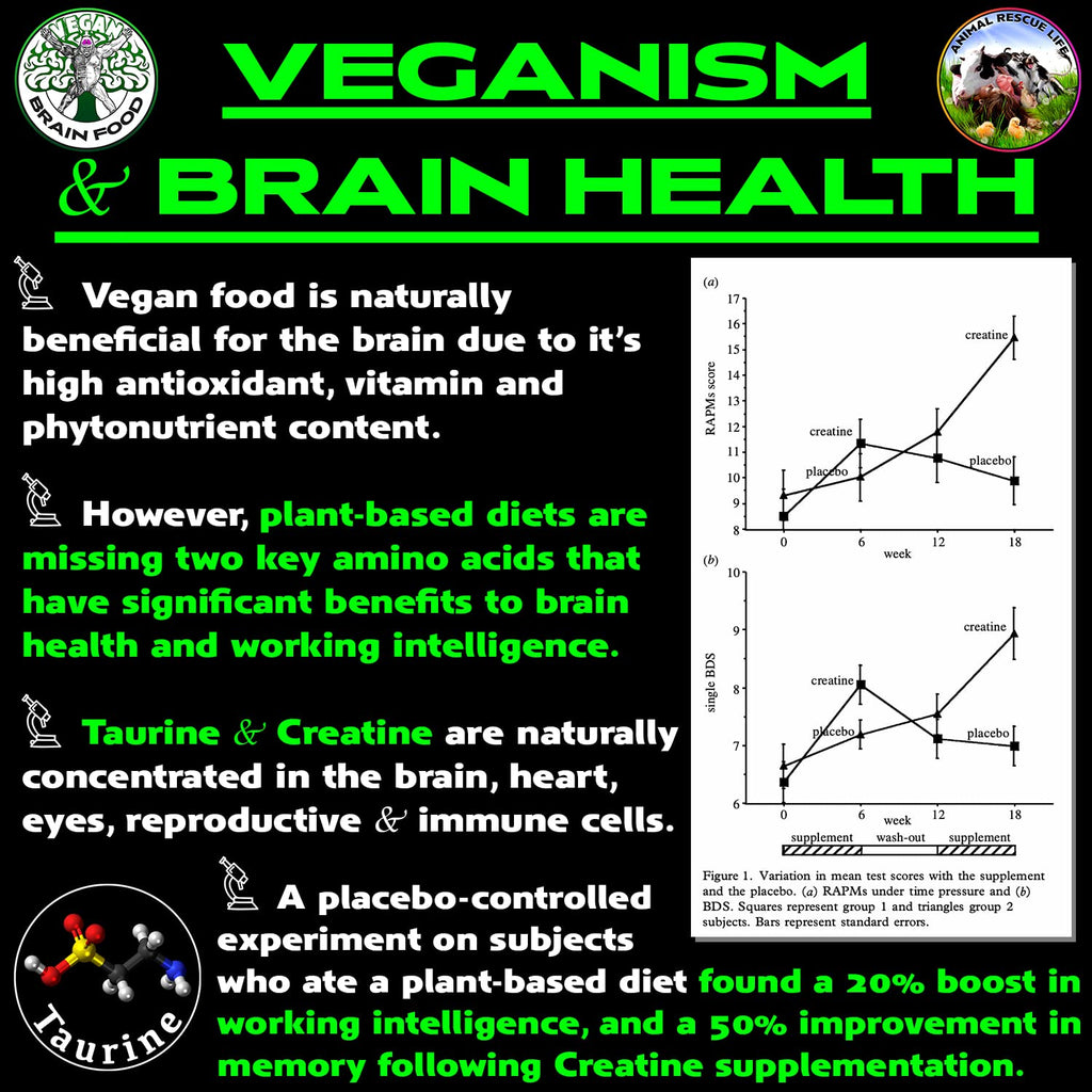 Vegan's Best Friend - Plant Based Multivitamin For Men & Women - Brain, Memory, Energy, Immune, Mood & Stress Support - Replaces 7 Supplements - Creatine, B12, D3, Choline, Zinc, Taurine - 40 Servings