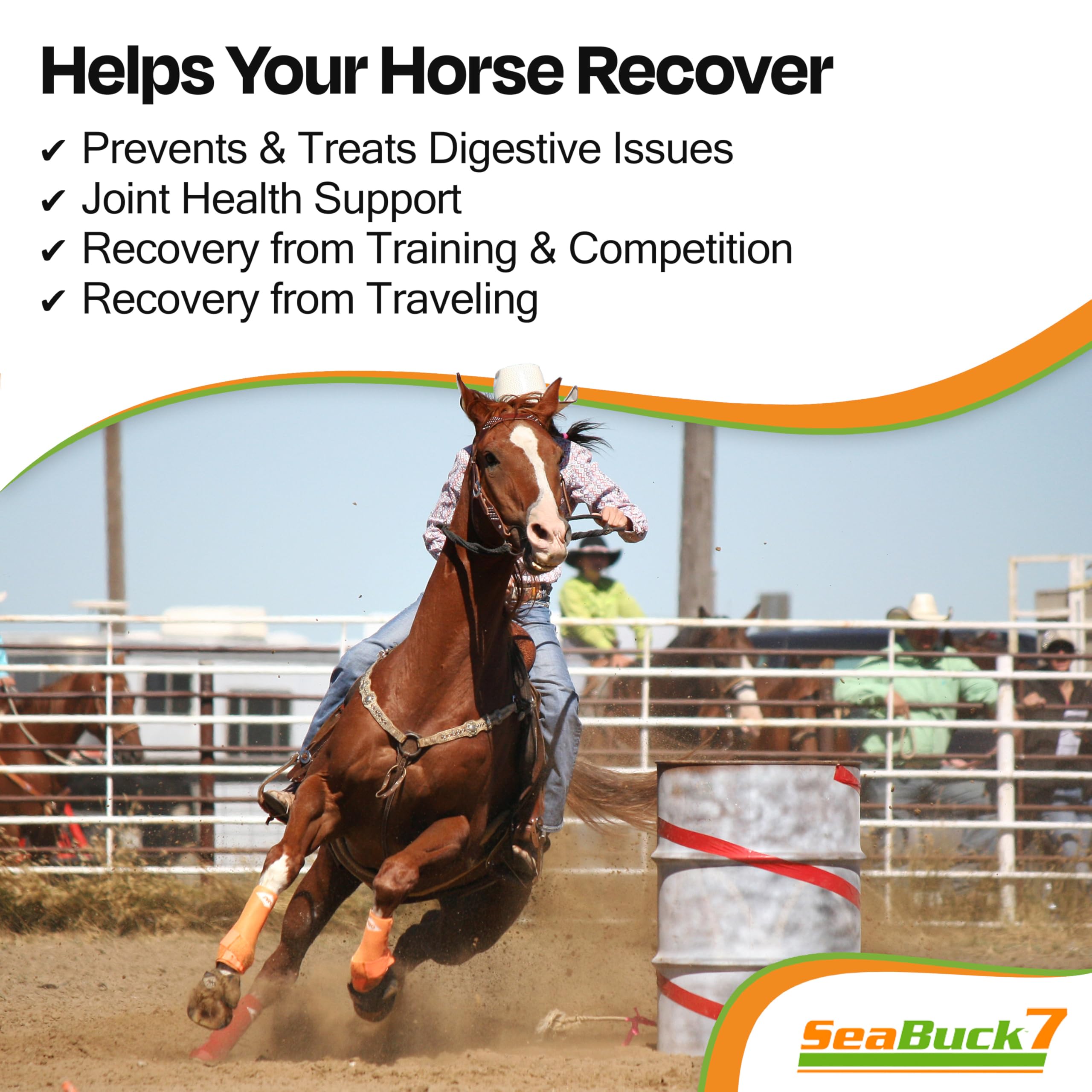 SeaBuck 7 Equine Sea Buckthorn Supplement for Horses, 1 Gallon