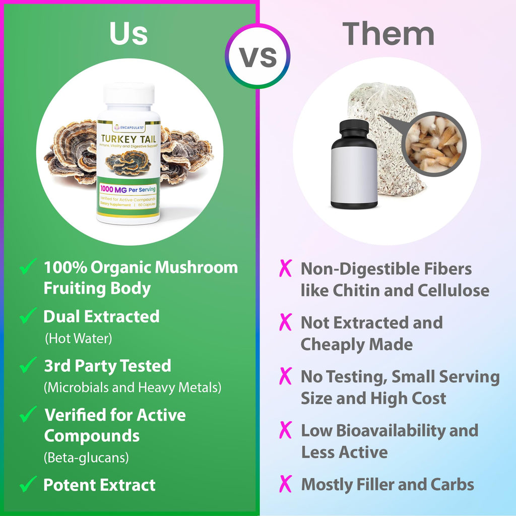 ENCAPSULATE Turkey Tail Capsules 8:1 Extract – Premium Organic Fruiting Body 8:1 Extract – Adaptogen Mushroom Supplement for Digestive, Gut & Immune Support – Lab Tested & Non-GMO – 60 Vegan Capsules