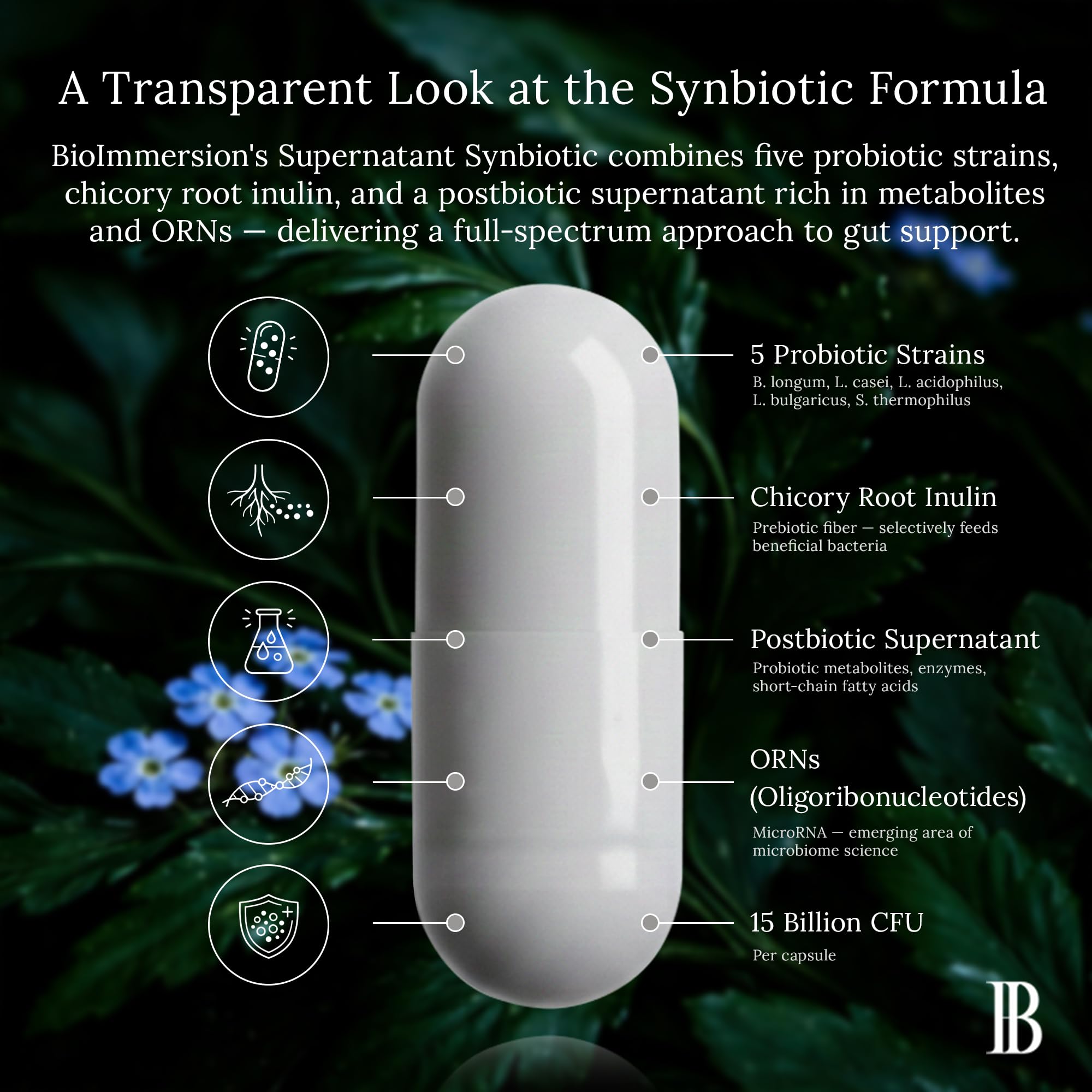BioImmersion Supernatant Synbiotic - Prebiotic Probiotic Postbiotic - Eases Digestive Discomfort, Gut Imbalance & Yeast Overgrowth - Immune & Microbiome Support for Men and Women - 60 Capsules