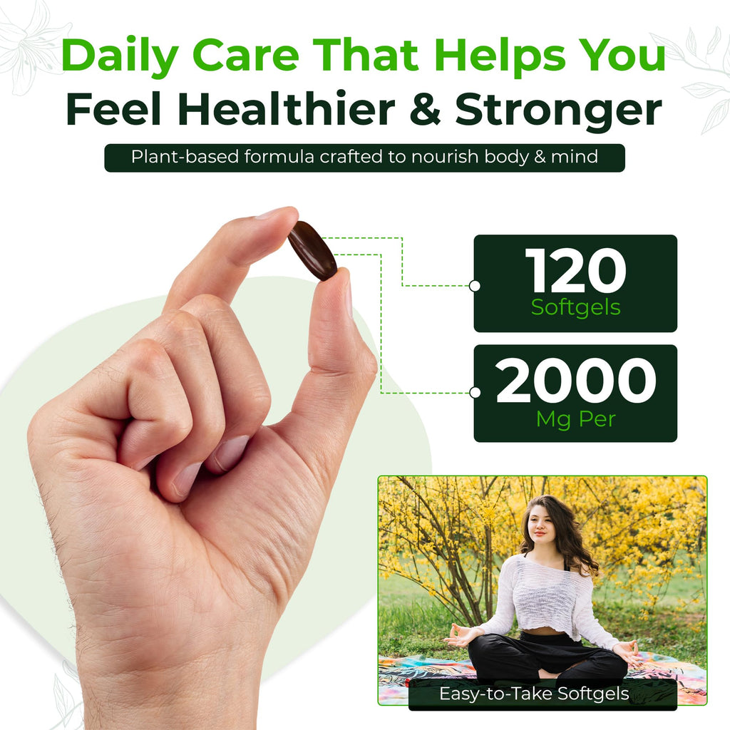 Natural Nutra Sunflower Lecithin Supplement 2000mg, Gluten-Free 120 Softgel