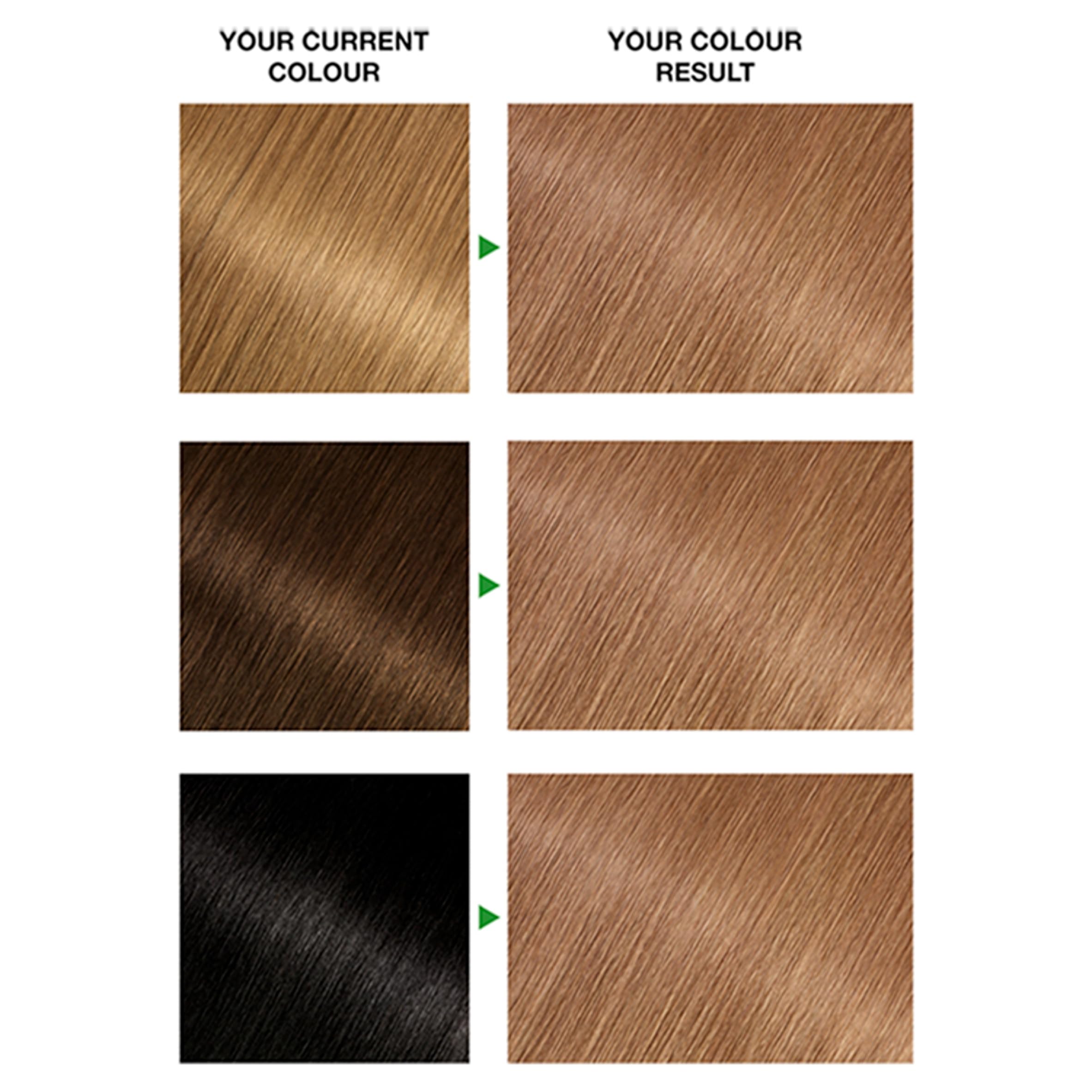 Garnier Nutrisse Ultra Crème Permanent Hair Dye, 6.3 Golden Light Brown