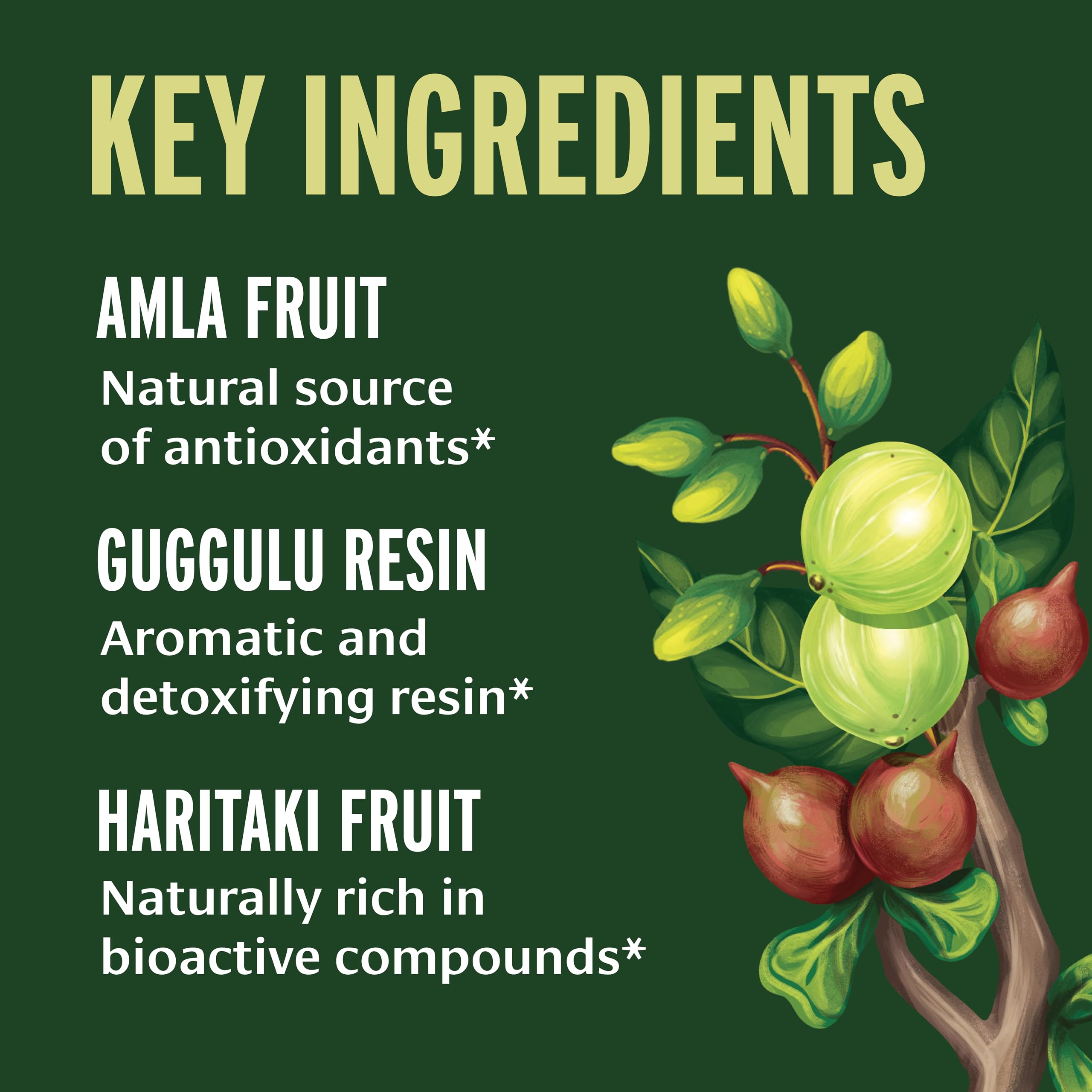 Banyan Botanicals Organic Triphala Guggulu – Deep Tissue Detox & GI Tract Support – Advanced Herbal Cleansing Supplement with Guggulu Resin – Systemic Waste Elimination – 90 Tablets – USDA Organic
