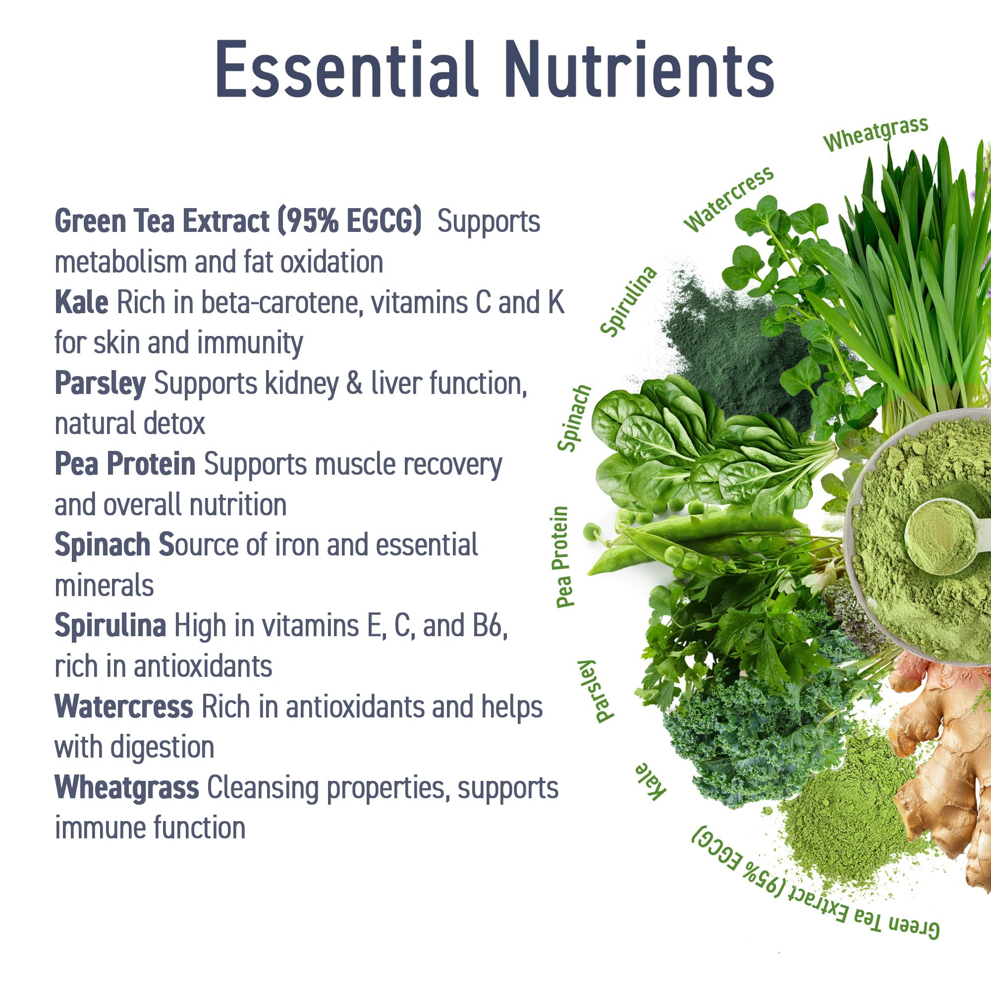 Applied Nutrition Critical Greens Powder and Superfood Blend for Gut Health Energy and Immune Support Vegan Daily Greens Juice Powder (150g - 30 Servings) (Unflavoured)