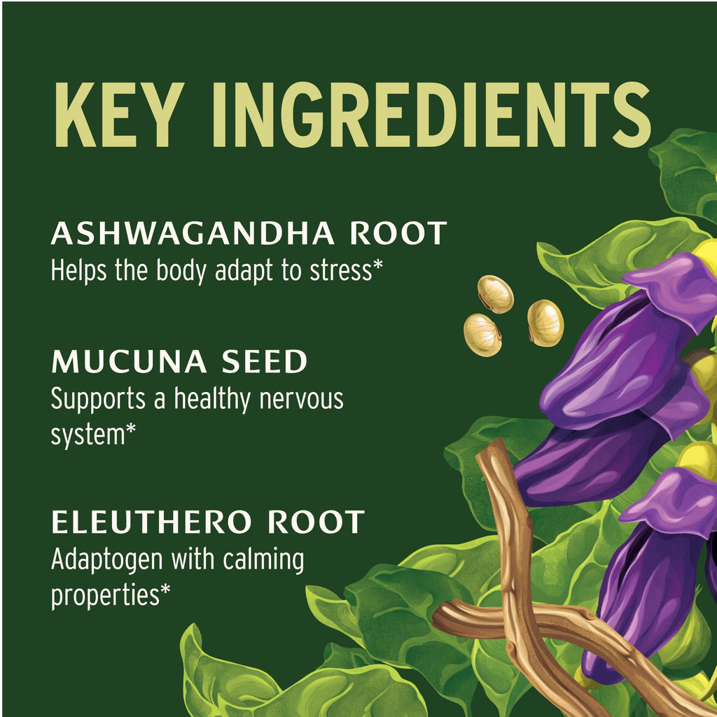 Banyan Botanicals Organic Adrenal Nourish - Cortisol Support & Stress Relief Supplement - Natural Energy & Fatigue Support with Ashwagandha & Adaptogens - 90 Tablets - Non-GMO, Vegan*