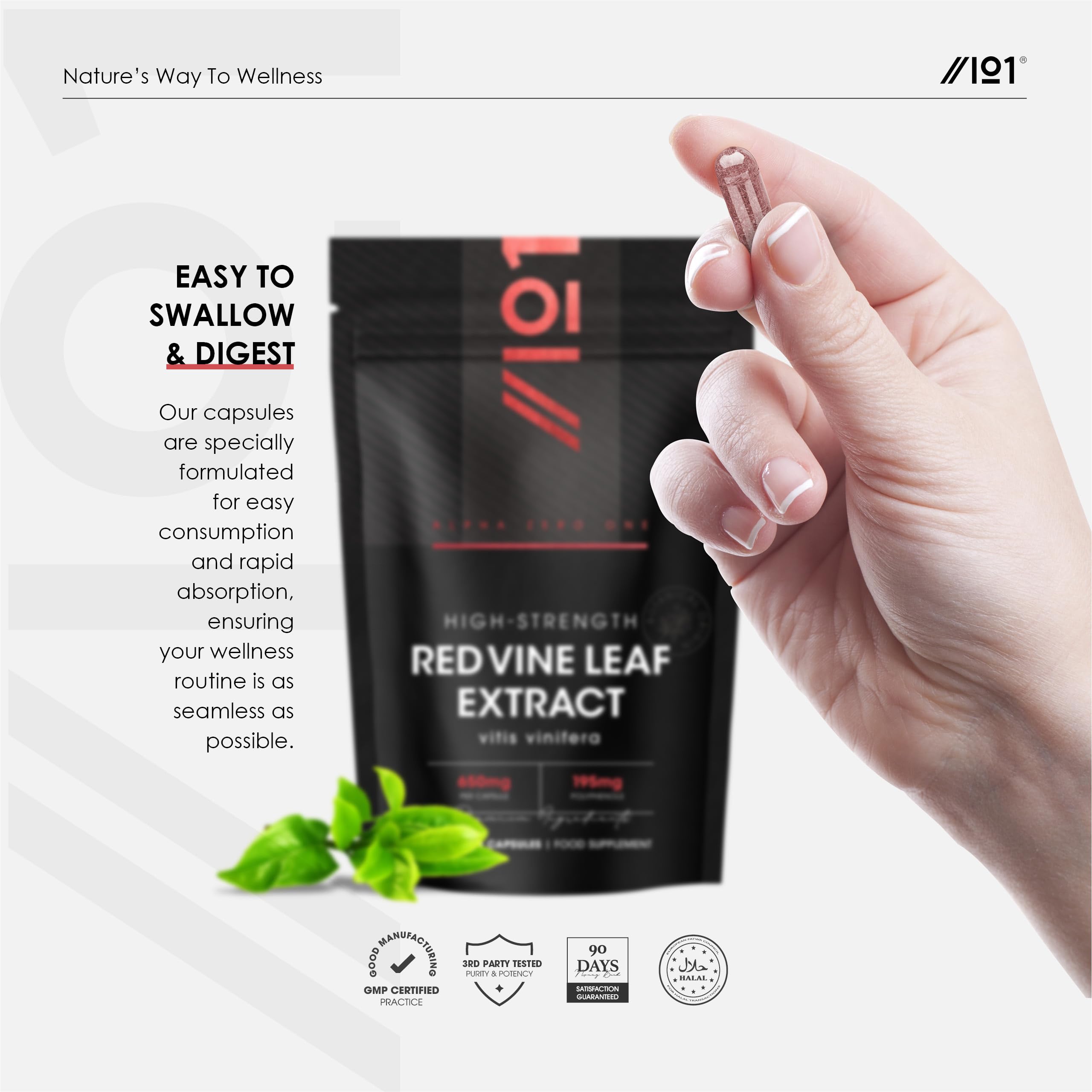 Red Vine Leaf Extract 650mg - 30% Polyphenols (195mg) Equivalent to 9,750mg Red Vine Leaf - 90 Vegan Capsules - Resealable and Recyclable Pouch – By Alpha01