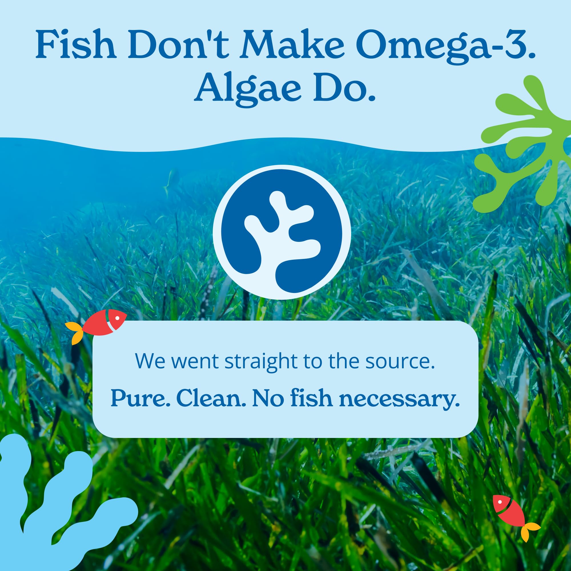 Calgee Algae Omega 3 Supplement, 450mg DHA & EPA, Carrageenan-Free & Sorbitol-Free, Vegan Softgels, Third-Party Tested, Plant-Based Fish Oil Alternative, Non-GMO, 120 Count