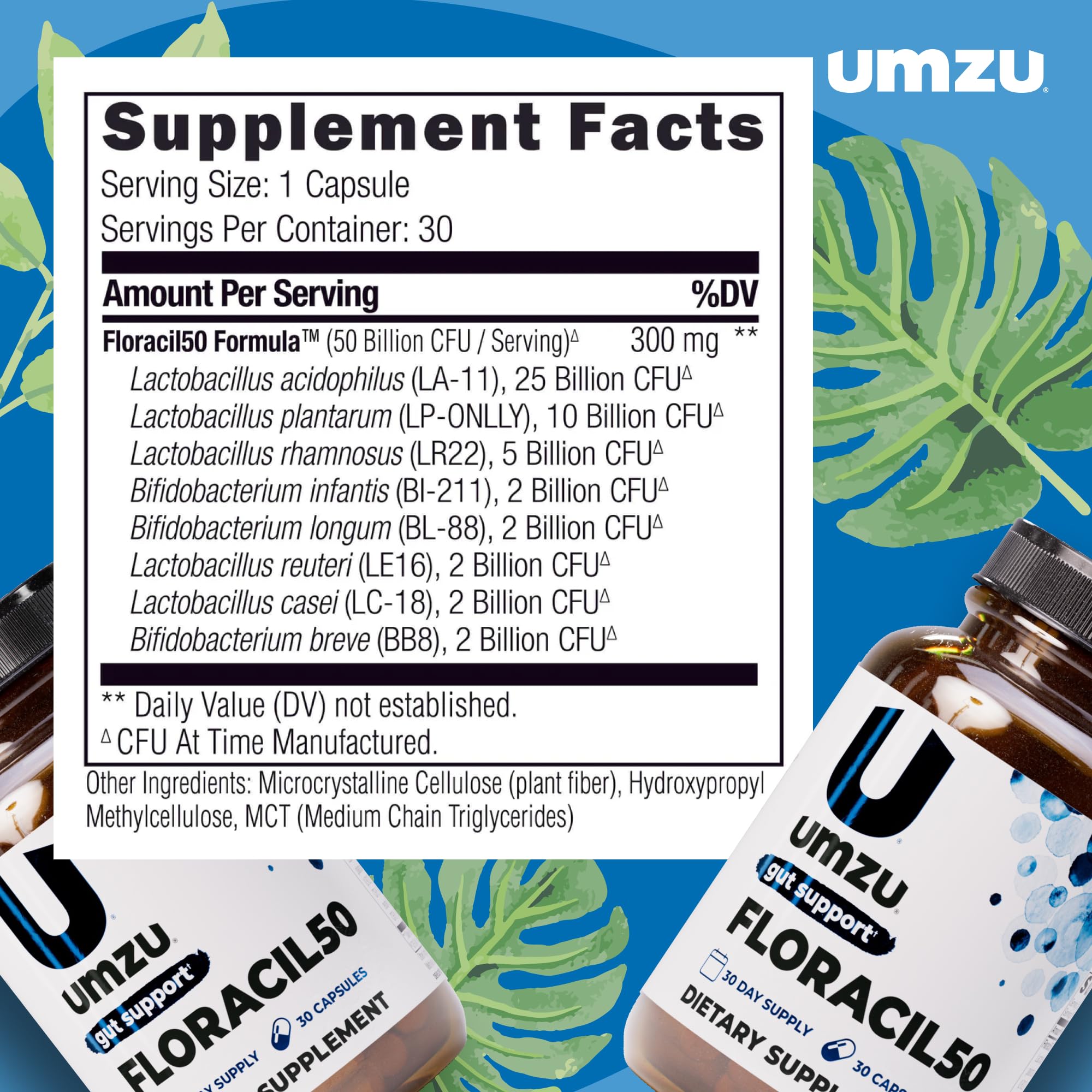UMZU Floracil50 Probiotic Supplement 30 Day Supply – 50 Billion CFU with Lactobacillus Acidophilus Rhamnosus and Plantarum – Supports Gut Health Digestion Immunity and Microbiome Balance