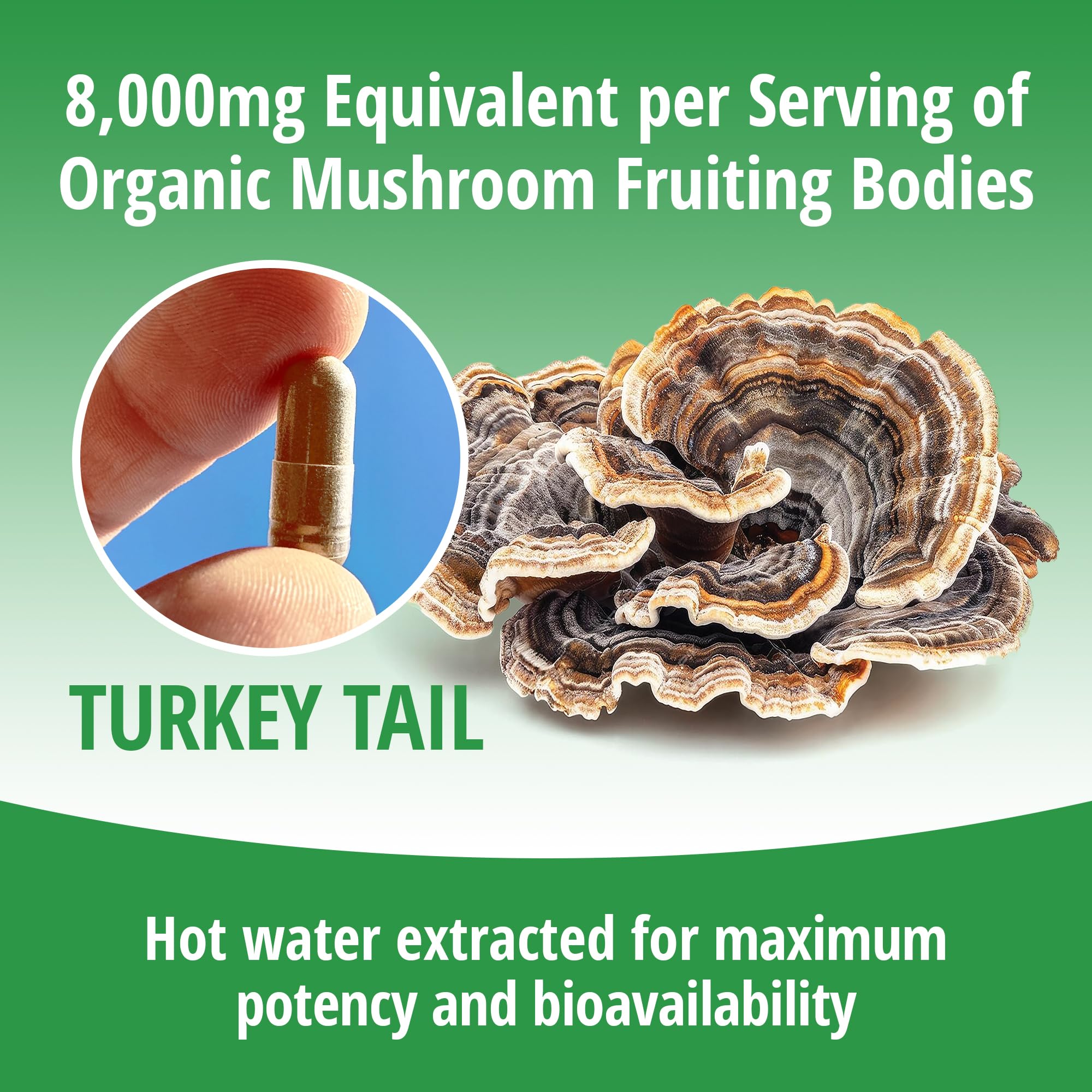 ENCAPSULATE Turkey Tail Capsules 8:1 Extract – Premium Organic Fruiting Body 8:1 Extract – Adaptogen Mushroom Supplement for Digestive, Gut & Immune Support – Lab Tested & Non-GMO – 60 Vegan Capsules