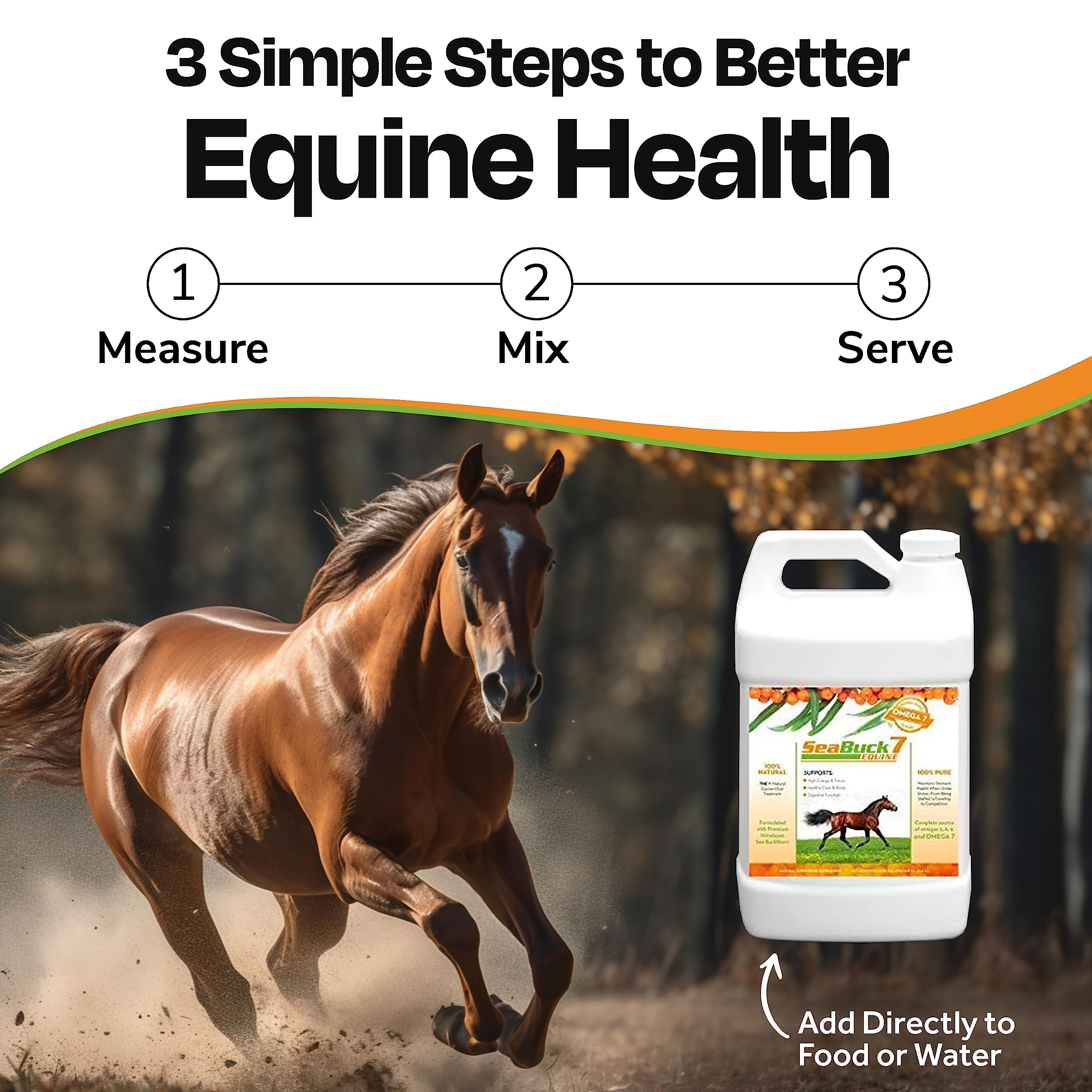 SeaBuck 7 Equine Sea Buckthorn Supplement for Horses, 1 Gallon