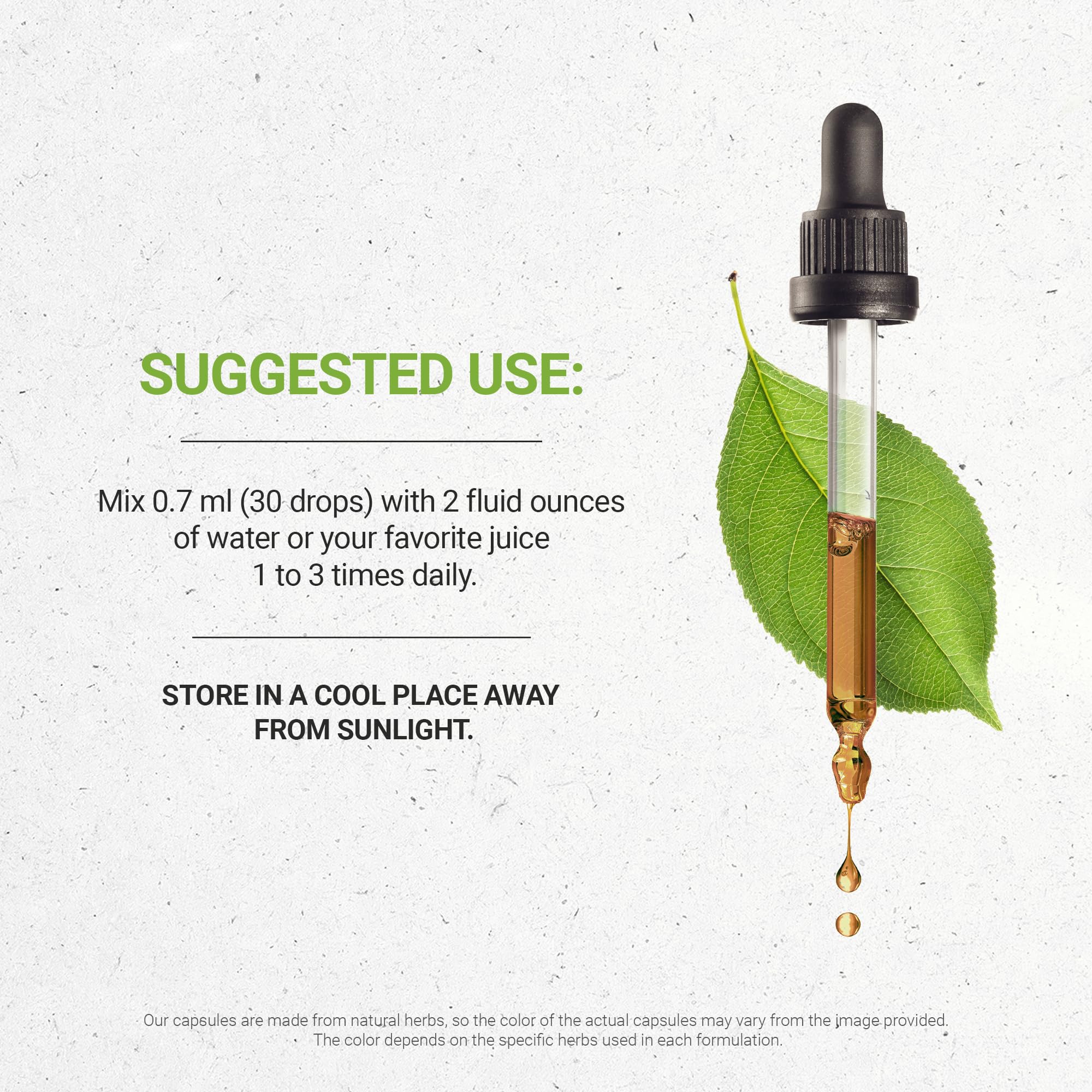 Secrets of the Tribe Quinine Alcohol-Free Tincture (Glycerite) 680 mg Wildcrafted Quinine (Cinchona officinalis) Dried Bark (4 Fl Oz) Leg Cramp Support Supplement