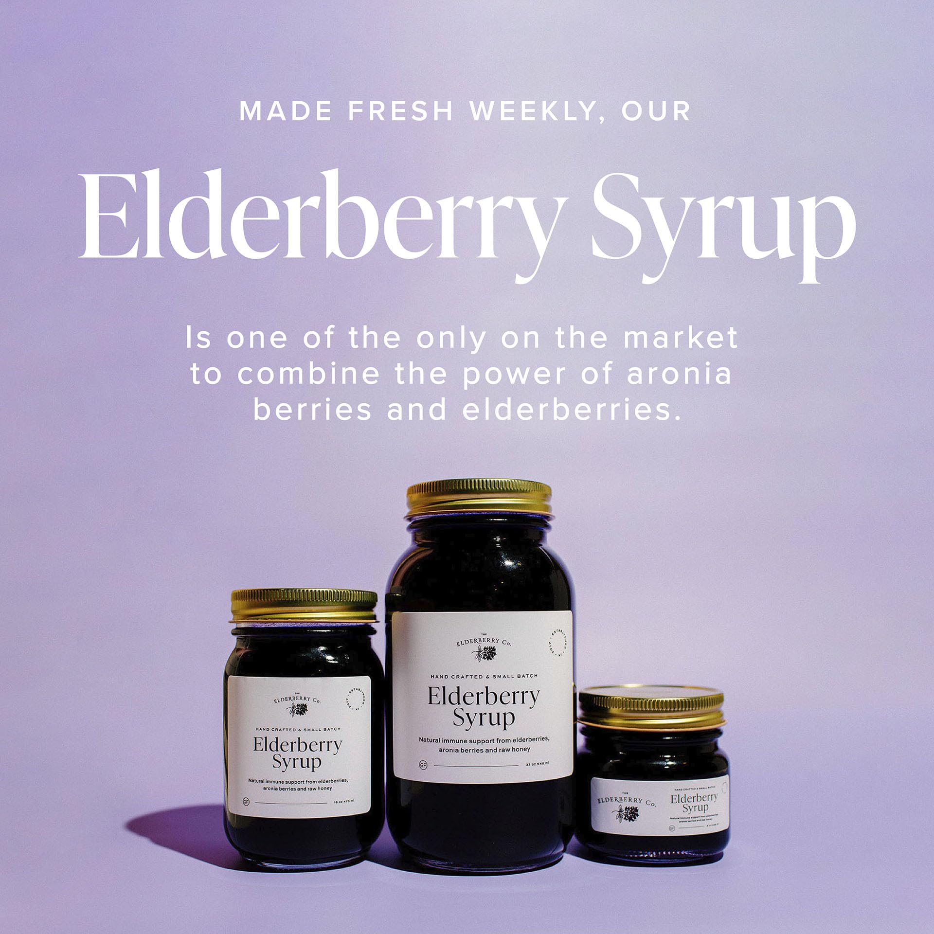 The Elderberry Co. Elderberry Syrup with Aronia Berries Natural Immune Support for Kids and Adults (32 oz.)