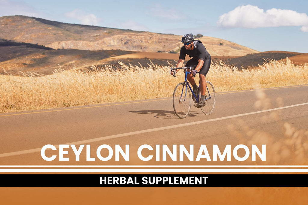 PURE ORIGINAL INGREDIENTS Ceylon Cinnamon (730 Capsules) No Magnesium or Rice Fillers, Always Pure, Lab Verified