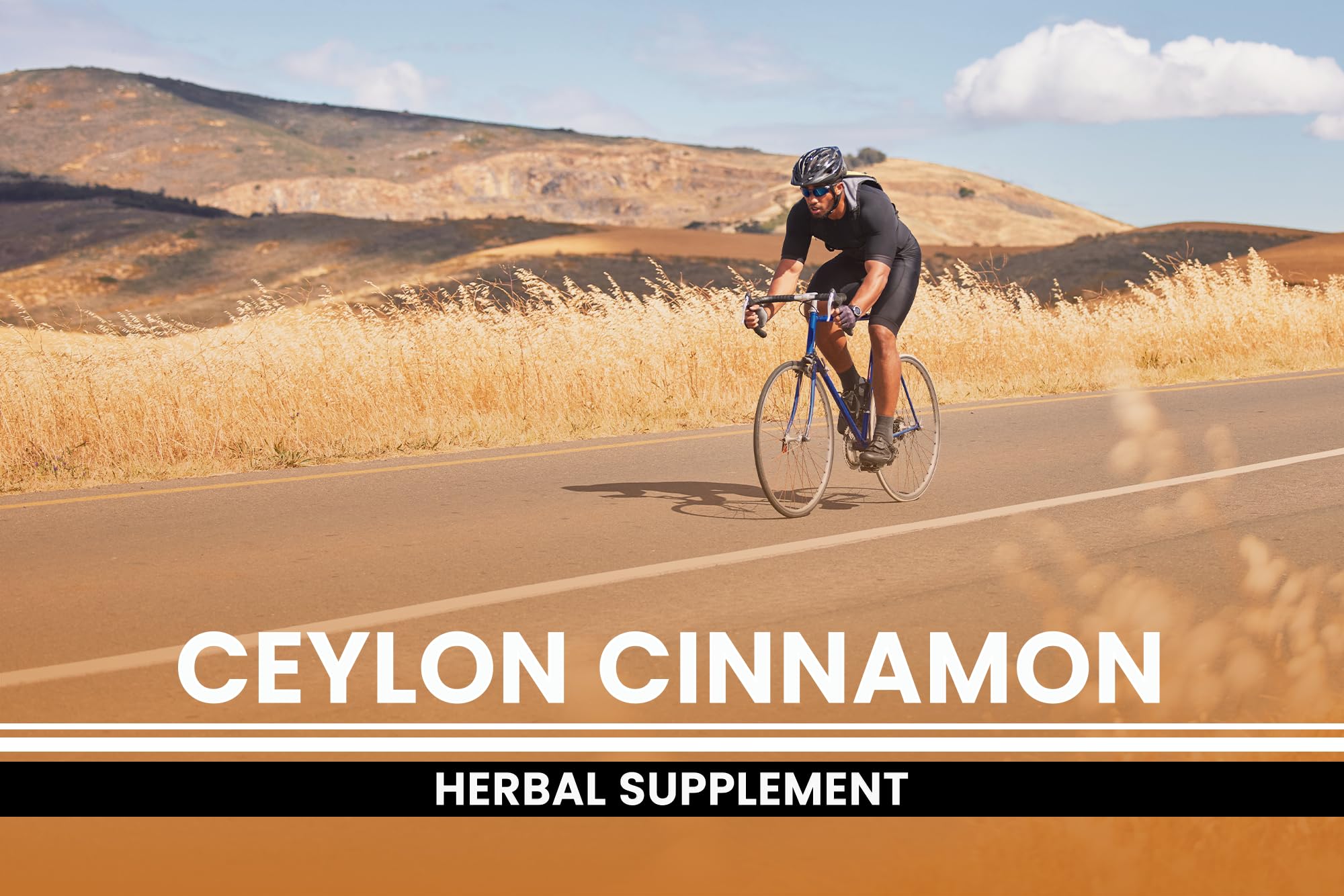 PURE ORIGINAL INGREDIENTS Ceylon Cinnamon (730 Capsules) No Magnesium or Rice Fillers, Always Pure, Lab Verified