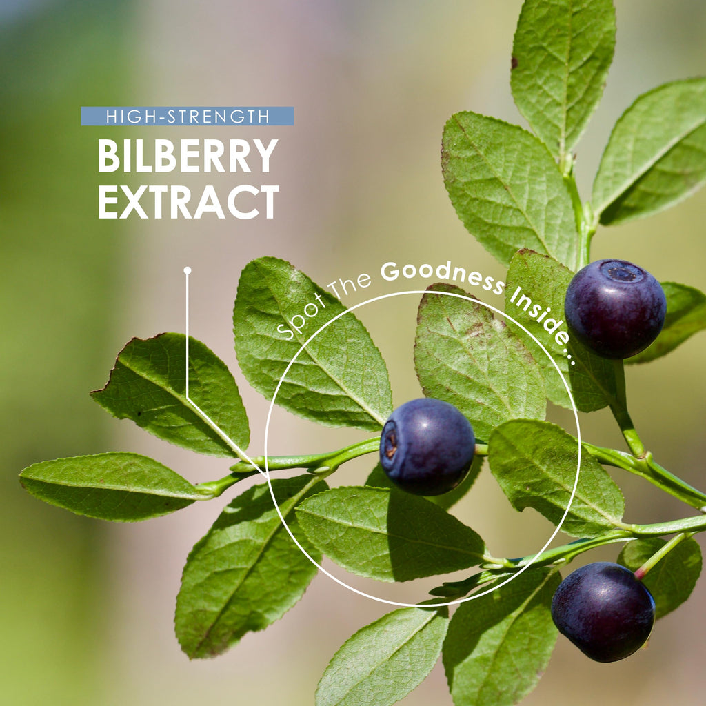 Bilberry Extract 30,000mg - Standardised 25% Anthocyanidins from 50:1 Vaccinium Uliginosum Extract - 90 Vegan Capsules (3 Months Supply) – Resealable and Recyclable Pouch by Alpha01