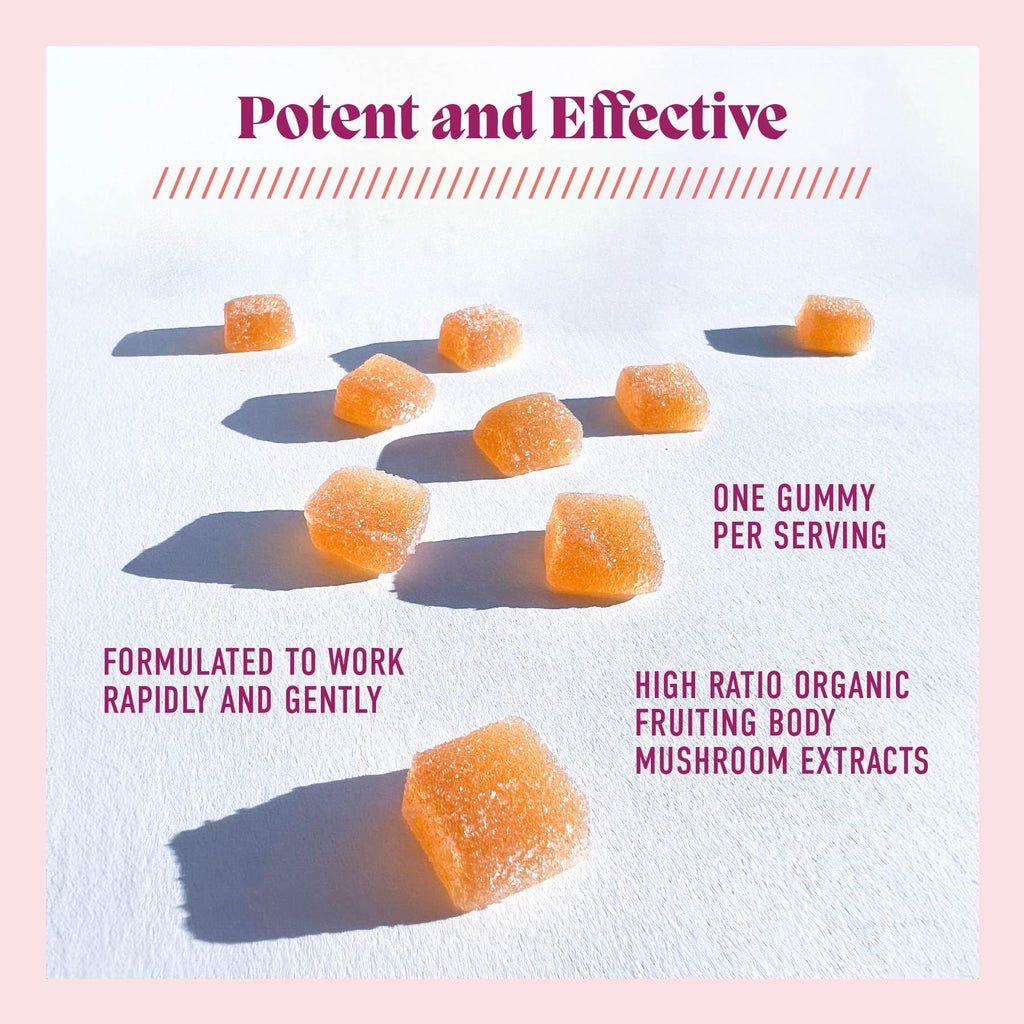 Microjoy Concentrate Gummies – Focus, Memory, Brain Health & Mood Support Supplement – Vegan, Non-GMO, Gluten-Free - Lemon Flavor (30 Servings)