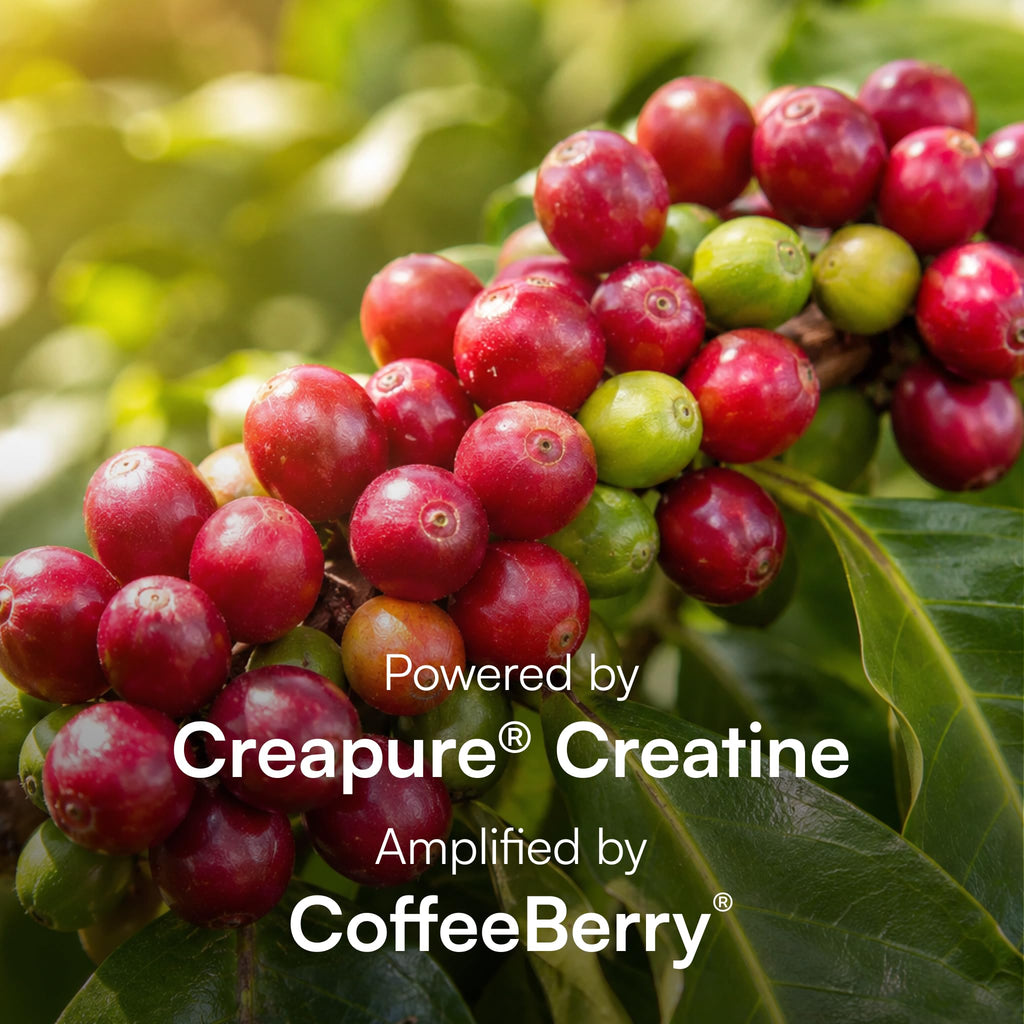 Purity Products EverStrong Powder from Muscle Matrix Blend - Creapure Creatine - Boron (FruiteX-B PhytoBoron) - CoffeeBerry Extract - Boosted with 1000 IU Vitamin D - Berry Burst (210 g)