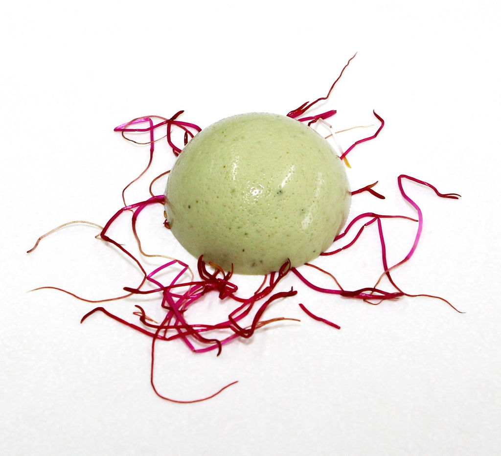 Carrageenan Iota