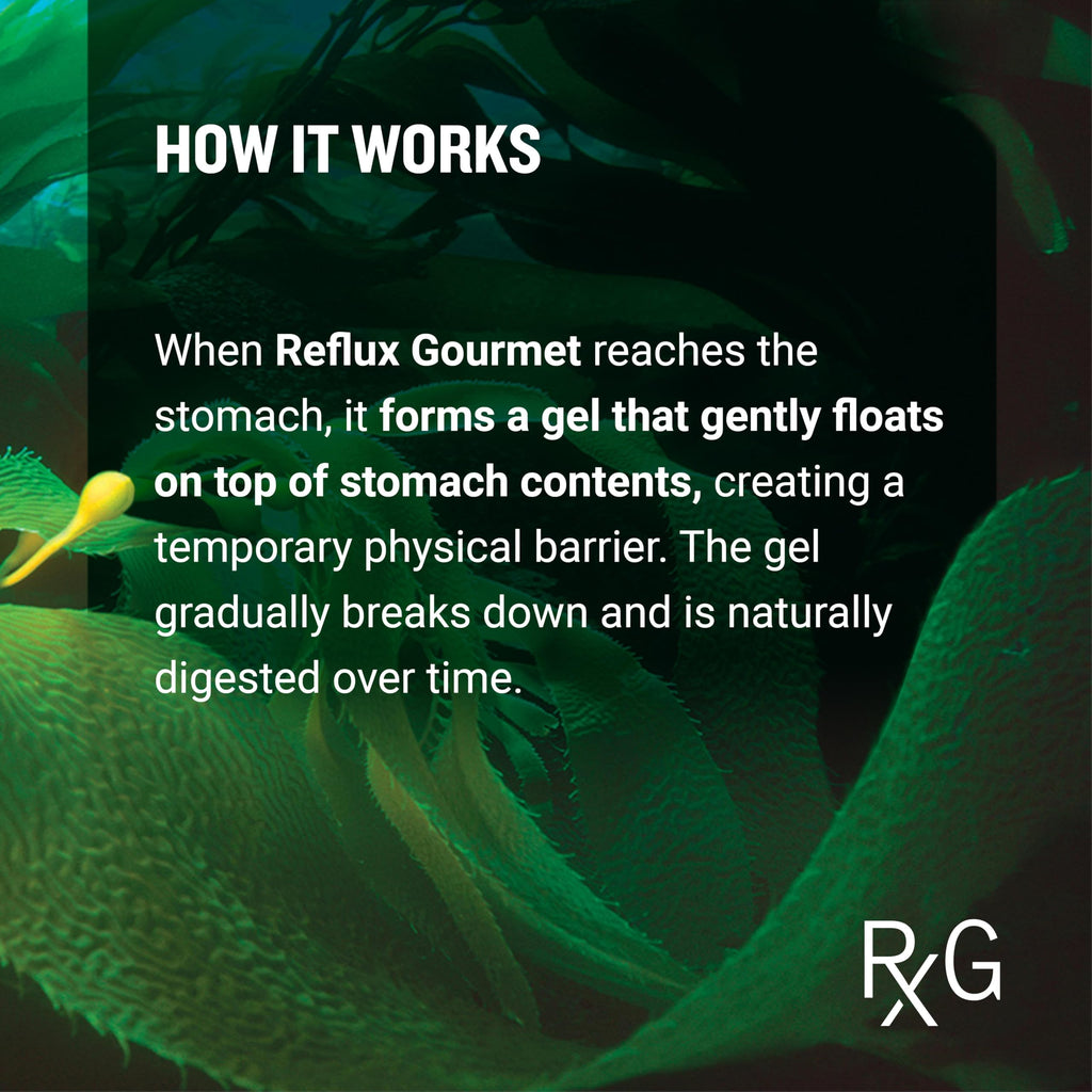 REFLUX GOURMET Mint Chocolate & Vanilla Caramel Rescue – Alginate Complex – Digestive Support Formula – Single Serve 25 Pack
