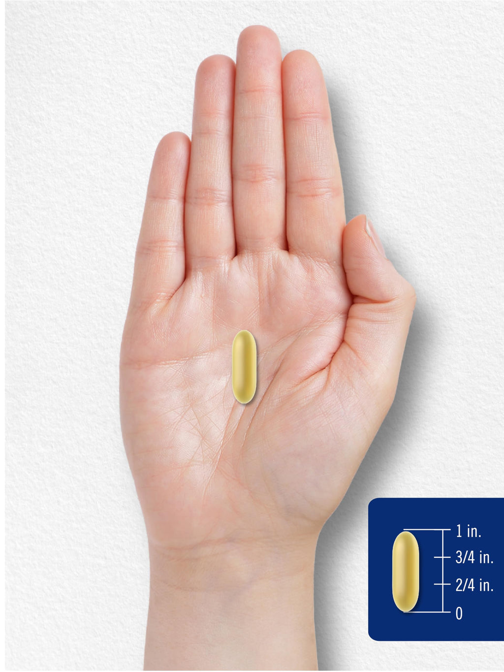 Carlyle DHA Supplement 1500mg | 180 Softgels | Omega-3 Supplement