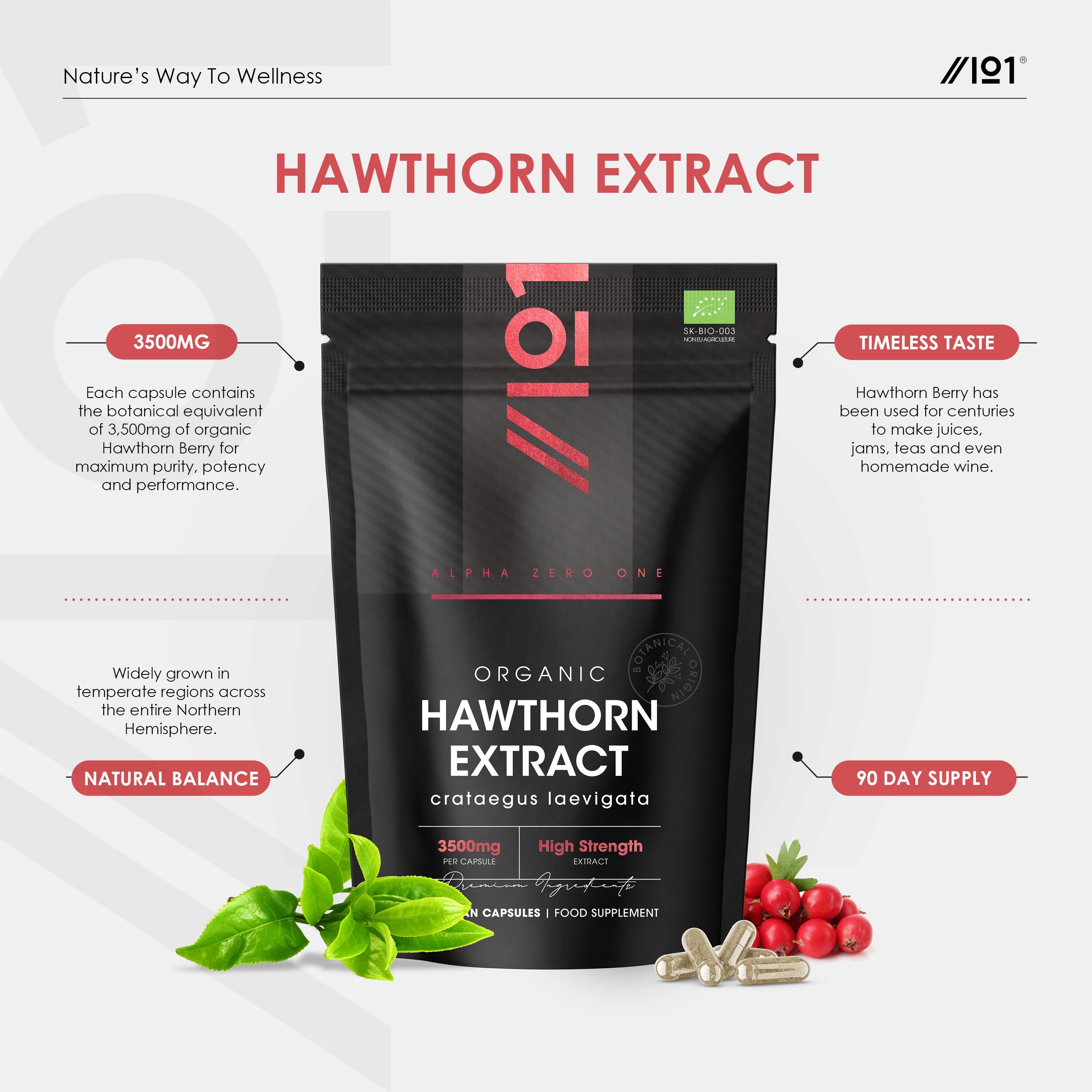 Organic Hawthorn Berry Extract 3500mg – 90 Vegan Capsules – High Strength Hawthorn Berry Supplement 7:1 Extract – Resealable and Recyclable Pouch by Alpha01