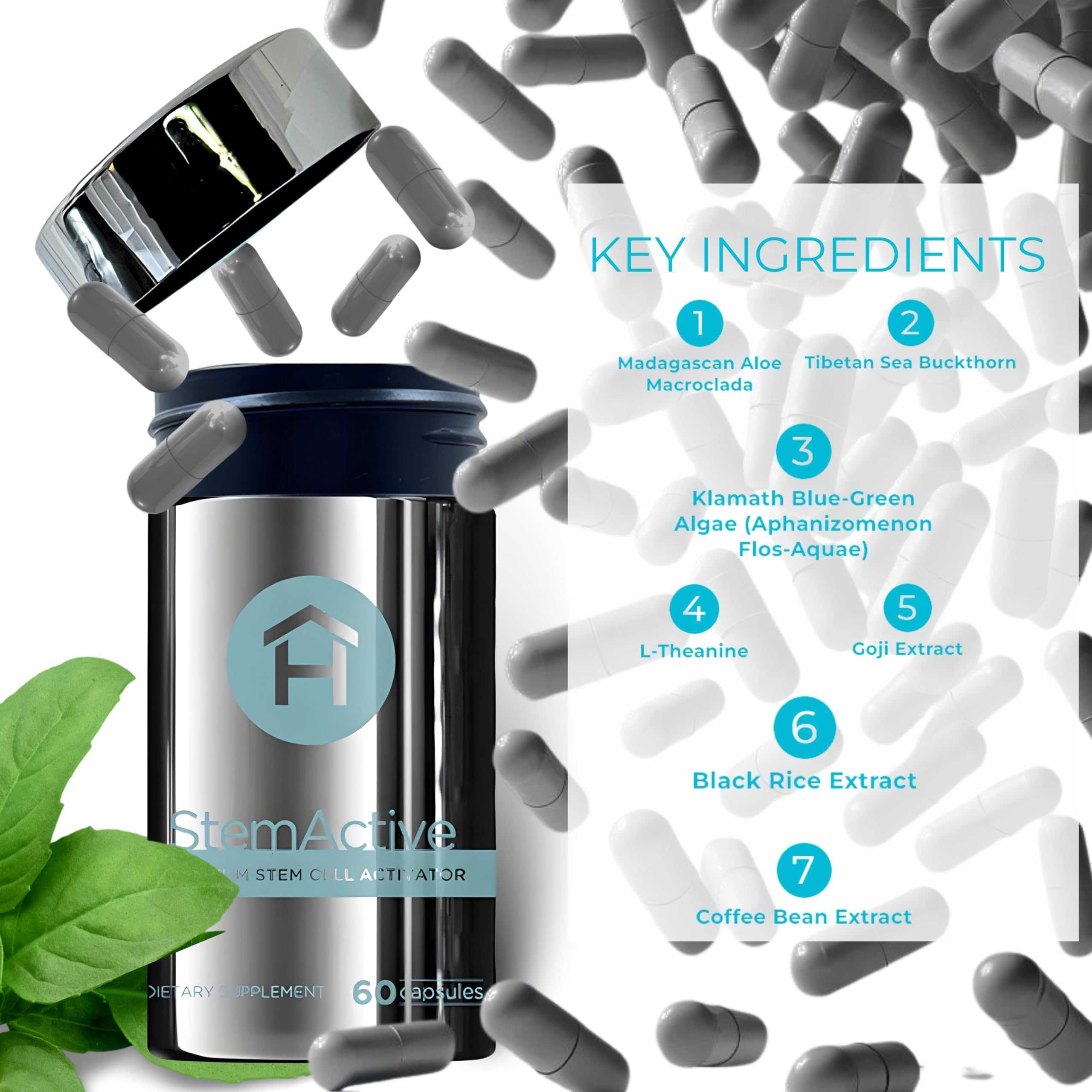 HEALTHY home StemActive Stem Cell Support Supplement - 60 Capsules - Boost Circulating Stem Cells - Premium Stem Cell Activator - Madagascan Aloe Macrolada - Blue-Green Algae