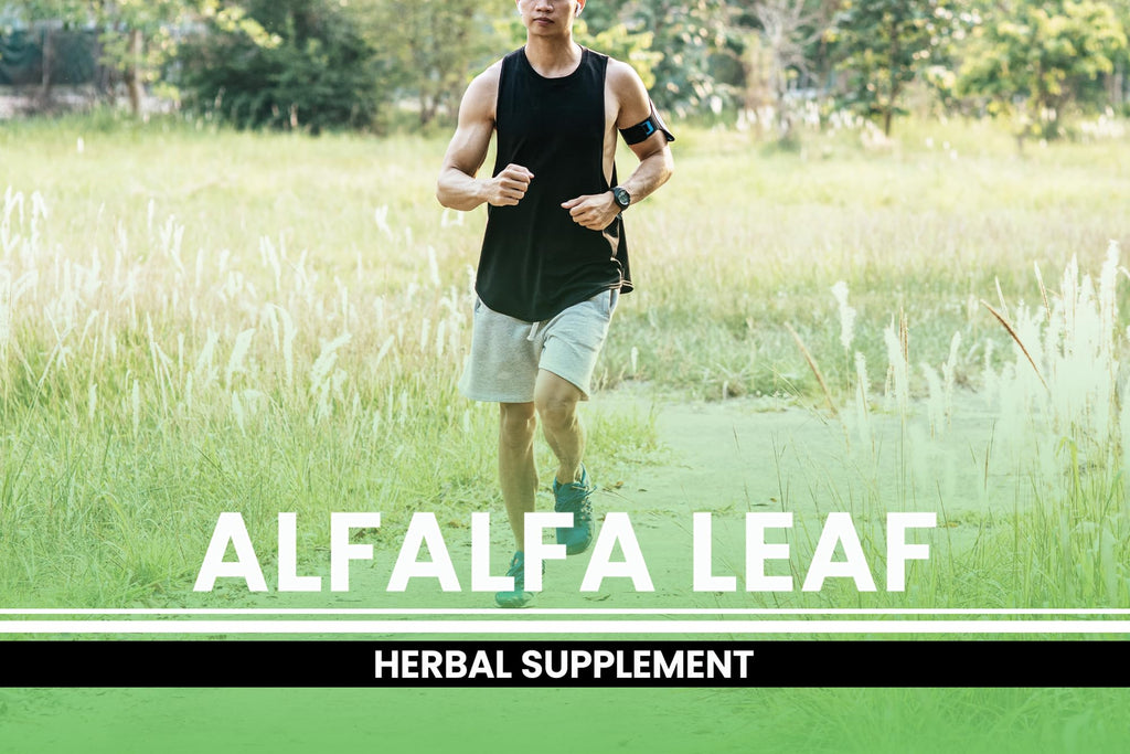 Pure Original Ingredients Alfalfa Leaf (730 Capsules) No Magnesium Or Rice Fillers, Always Pure, Lab Verified