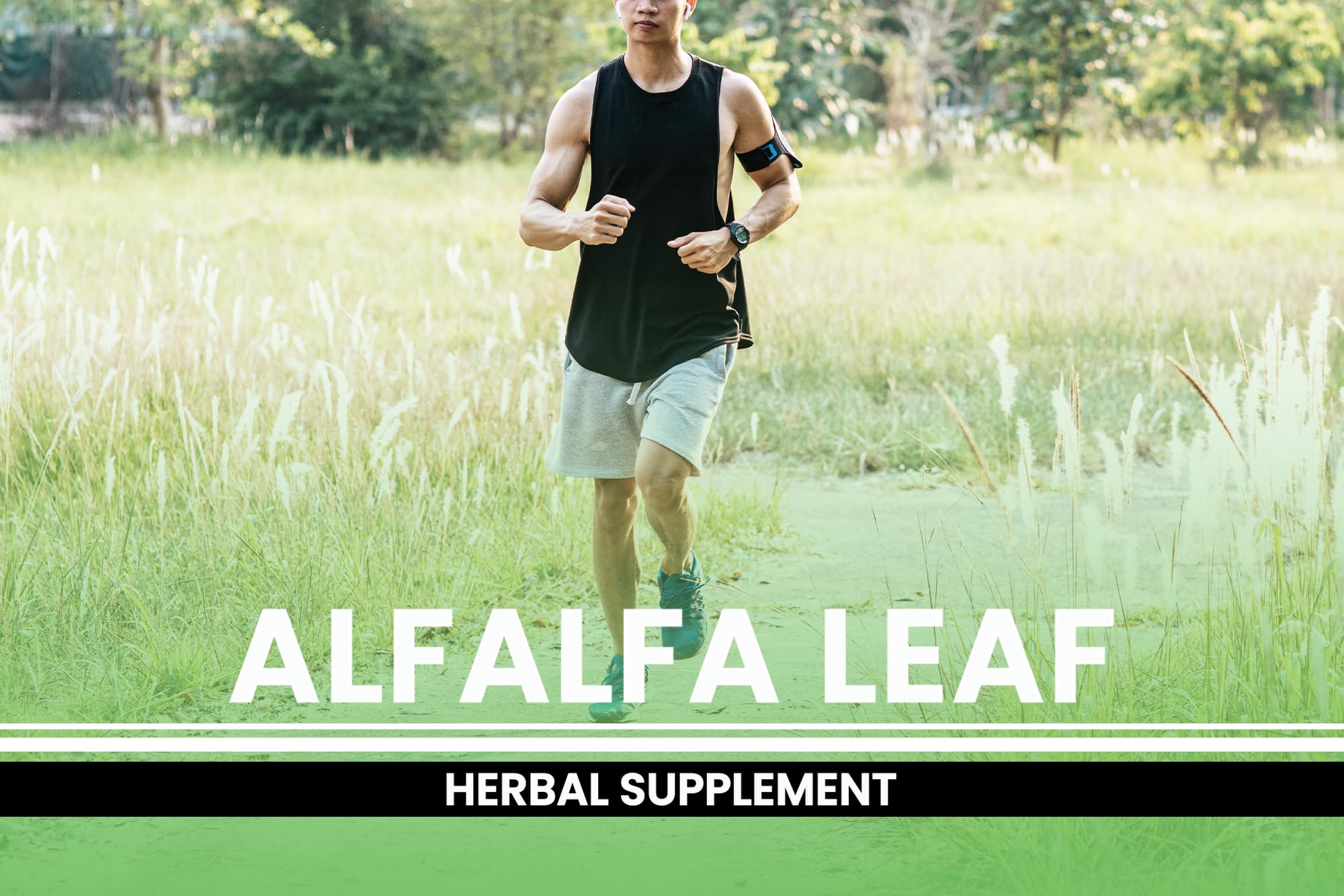 Pure Original Ingredients Alfalfa Leaf (730 Capsules) No Magnesium Or Rice Fillers, Always Pure, Lab Verified