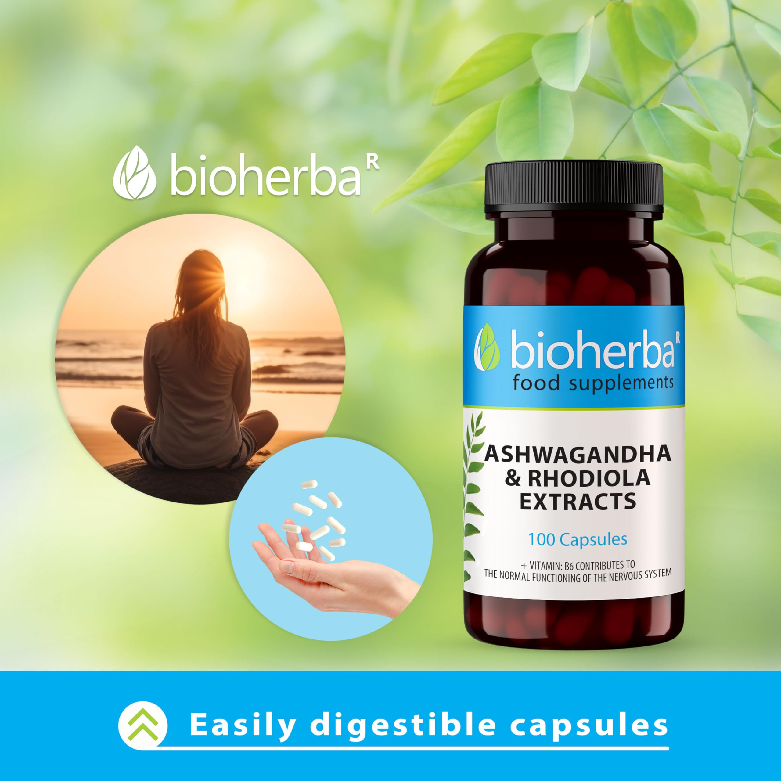 Ashwagandha Rhodiola Complex – 200 Capsules | Adaptogen Formula with B-Vitamins for Energy and Mental Performance by BIOHERBA