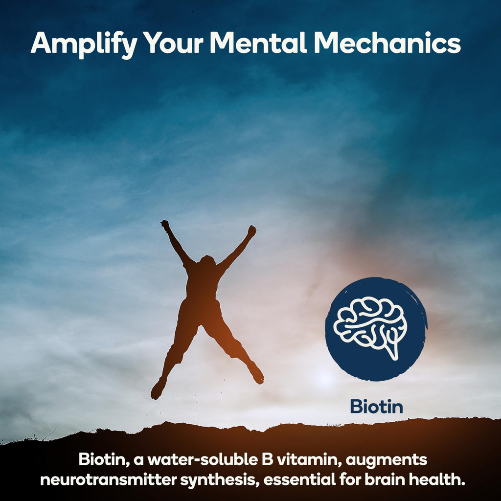 Nedley Health Brain - Balanced Neurotransmitter Support Supplement - Zinc, B6, Biotin for Cognitive Function - 90 Veggie Capsules (Brain)