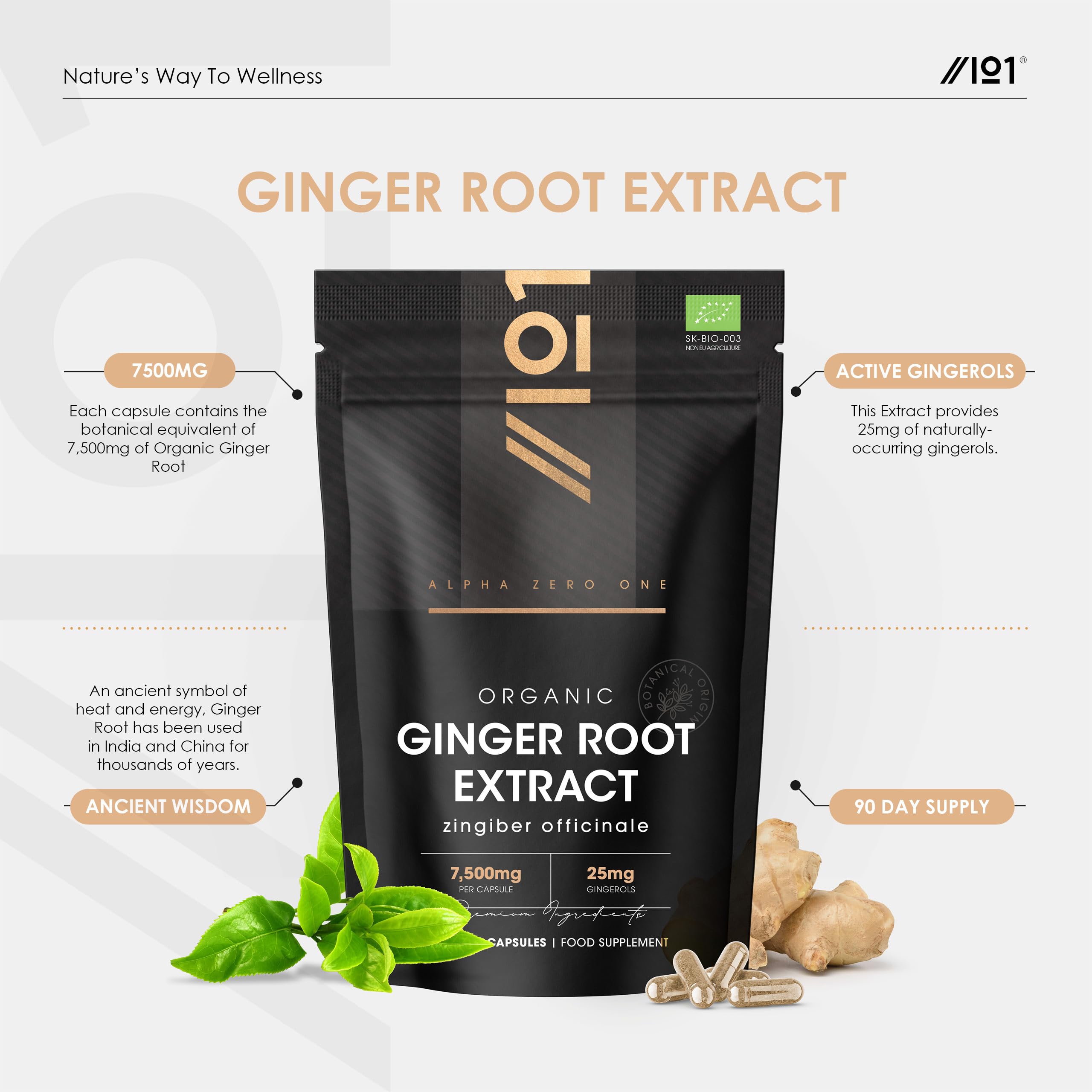 Organic Ginger Extract 7500mg – Standardised 5% Gingerols (25mg) - 90 Vegan Capsules (3 Months Supply) – Resealable and Recyclable Pouch by Alpha01