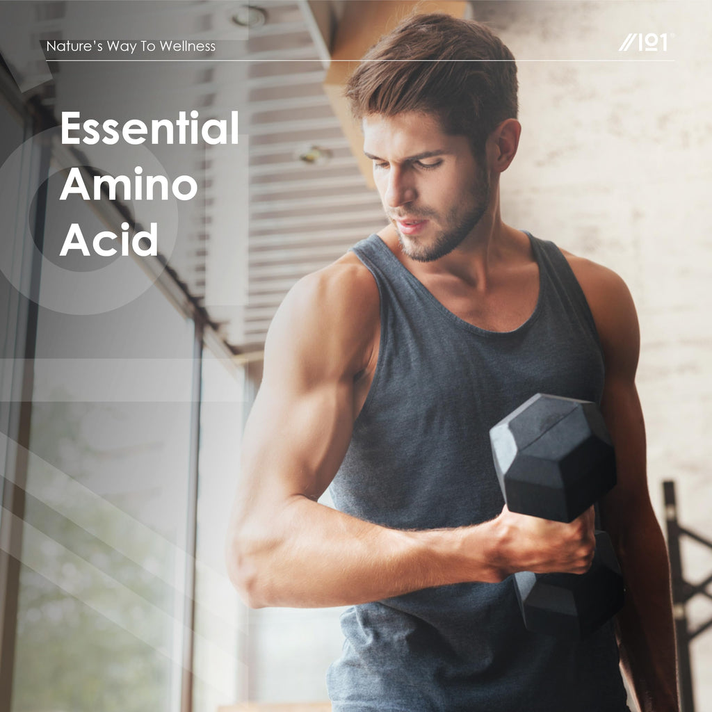 Essential Amino Acids 2800mg with BioPerine® – 180 Vegan Capsules – All 9 EAA Amino Acids with All 3 BCAA's Plus 6 More EAAs to Build and Repair Muscle - by Alpha01