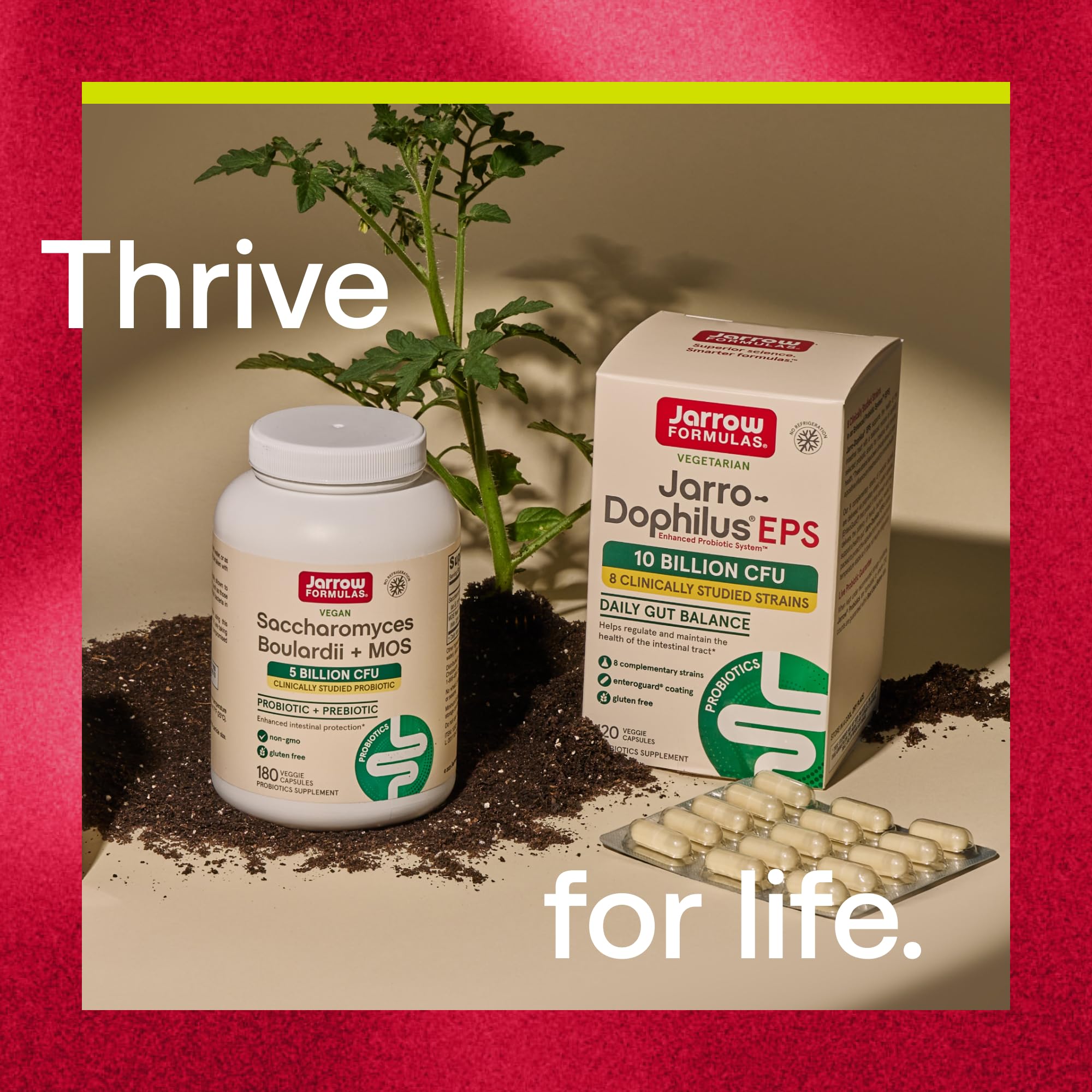 Jarrow Formulas Saccharomyces Boulardii + MOS Probiotics for Digestive Health and Intestinal Tract Support - 5 Billion CFU Per Serving - 180 Delayed Release Caps - Probiotic + Prebiotic - 180 Servings