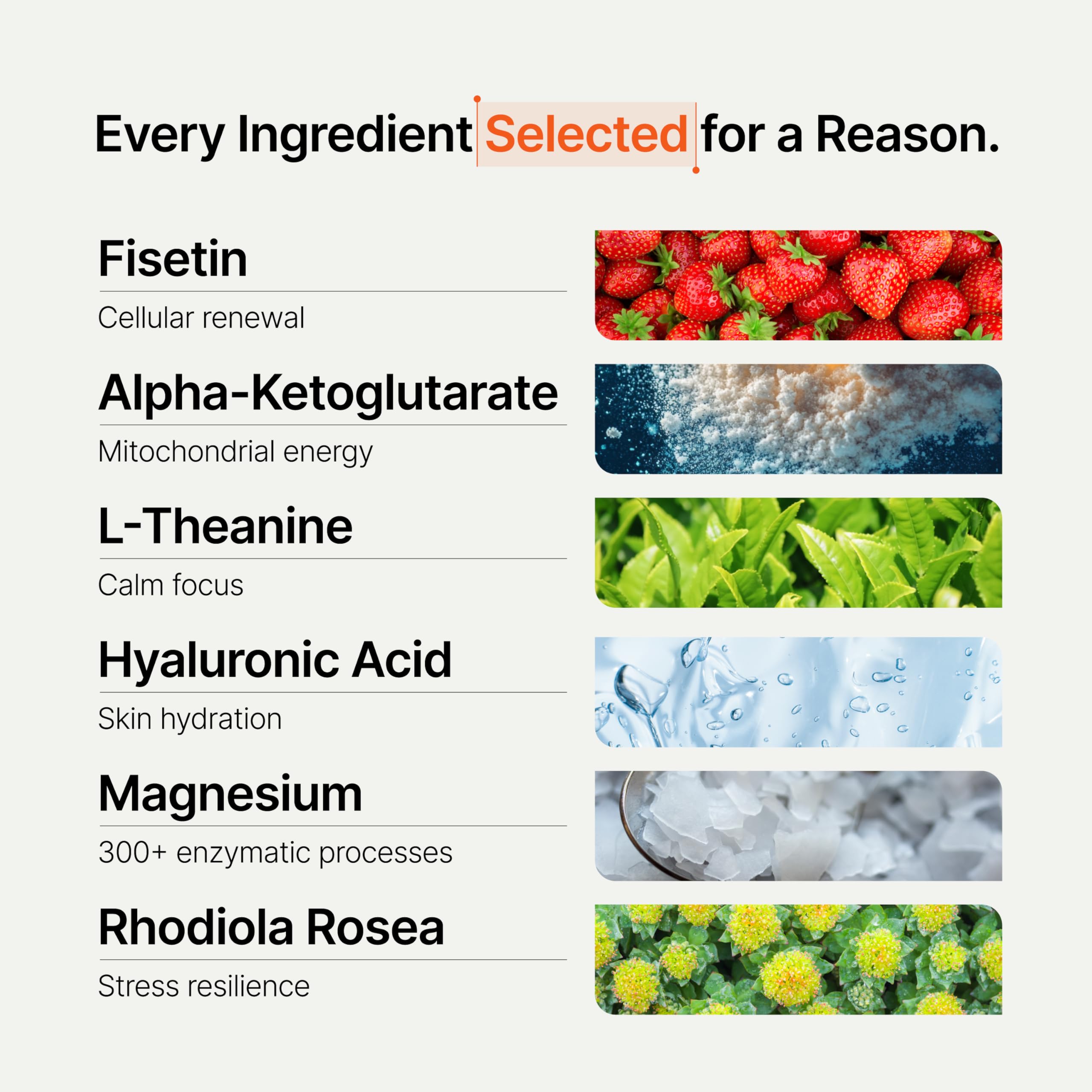 Novos Core - Clinically Studied Daily Longevity Supplement | 12 Active Ingredients for Healthy Aging, Energy, Cognition & Skin Health | Human Clinical Trial Backed | Unflavored | 30 Servings