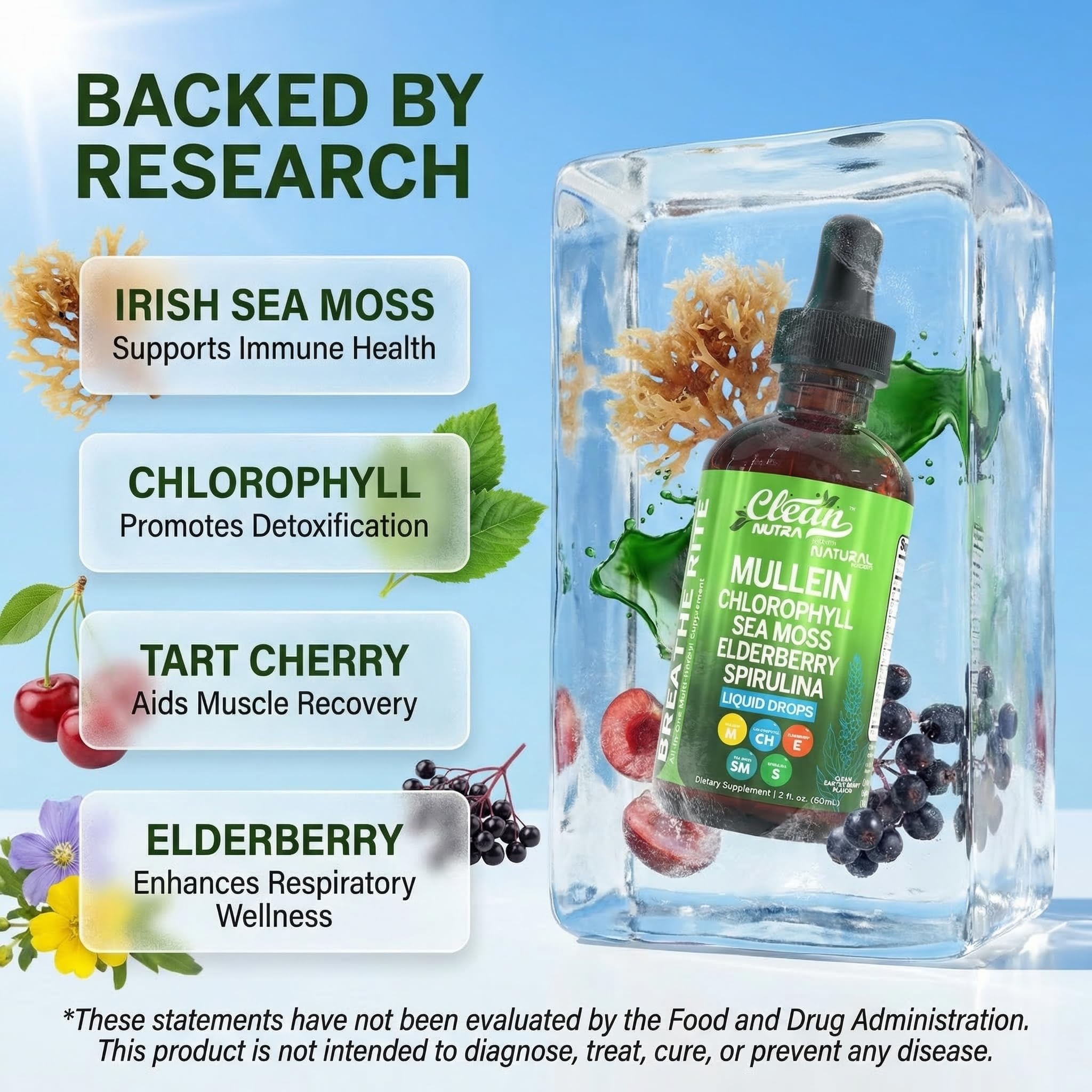 Mullein Drops for Lungs Liquid Chlorophyll Mullein Leaf Extract Supplement Elderberry Sea Moss Spirulina Chlorella Lobelia Marigold Licorice Marshmallow Lung Detox Cleanse Tincture Men Women 2 fl oz