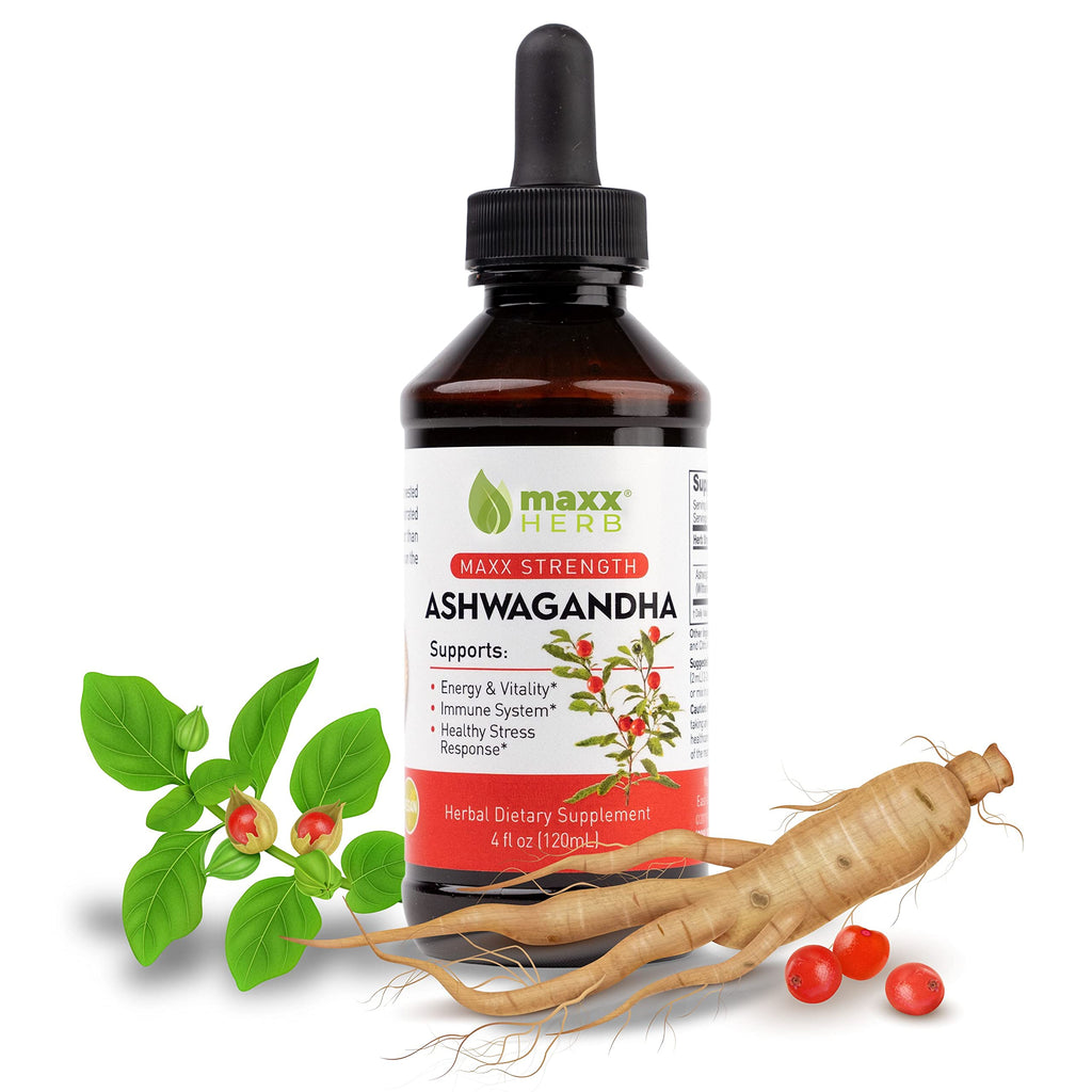 Maxx Herb Ashwagandha Extract – Max Strength Liquid Tincture Absorbs Better Than Capsules or Powder - for Stamina, Memory, & Immune Support - 4 Oz Bottle (60 Servings)